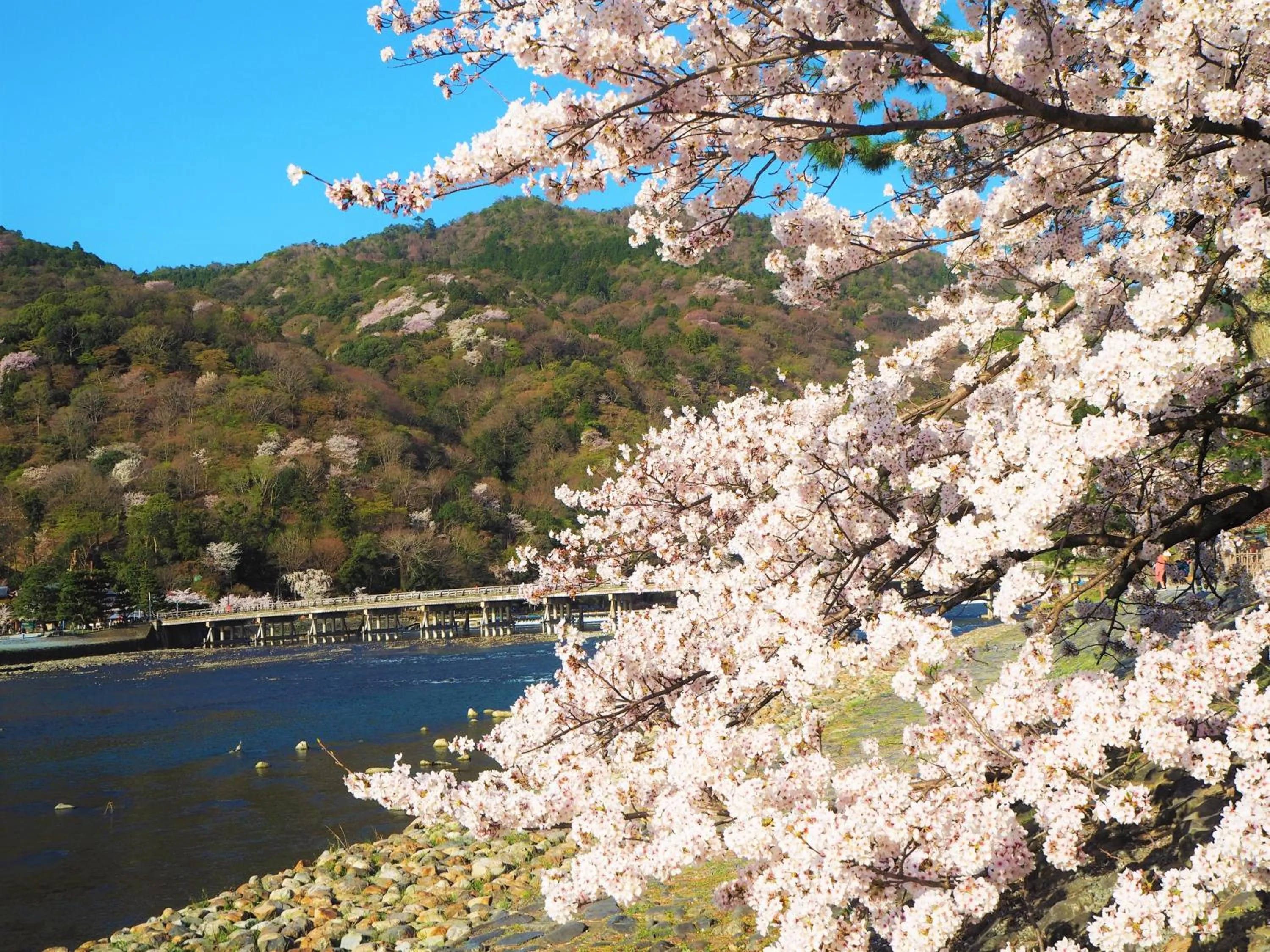 Nearby landmark in Muni Kyoto