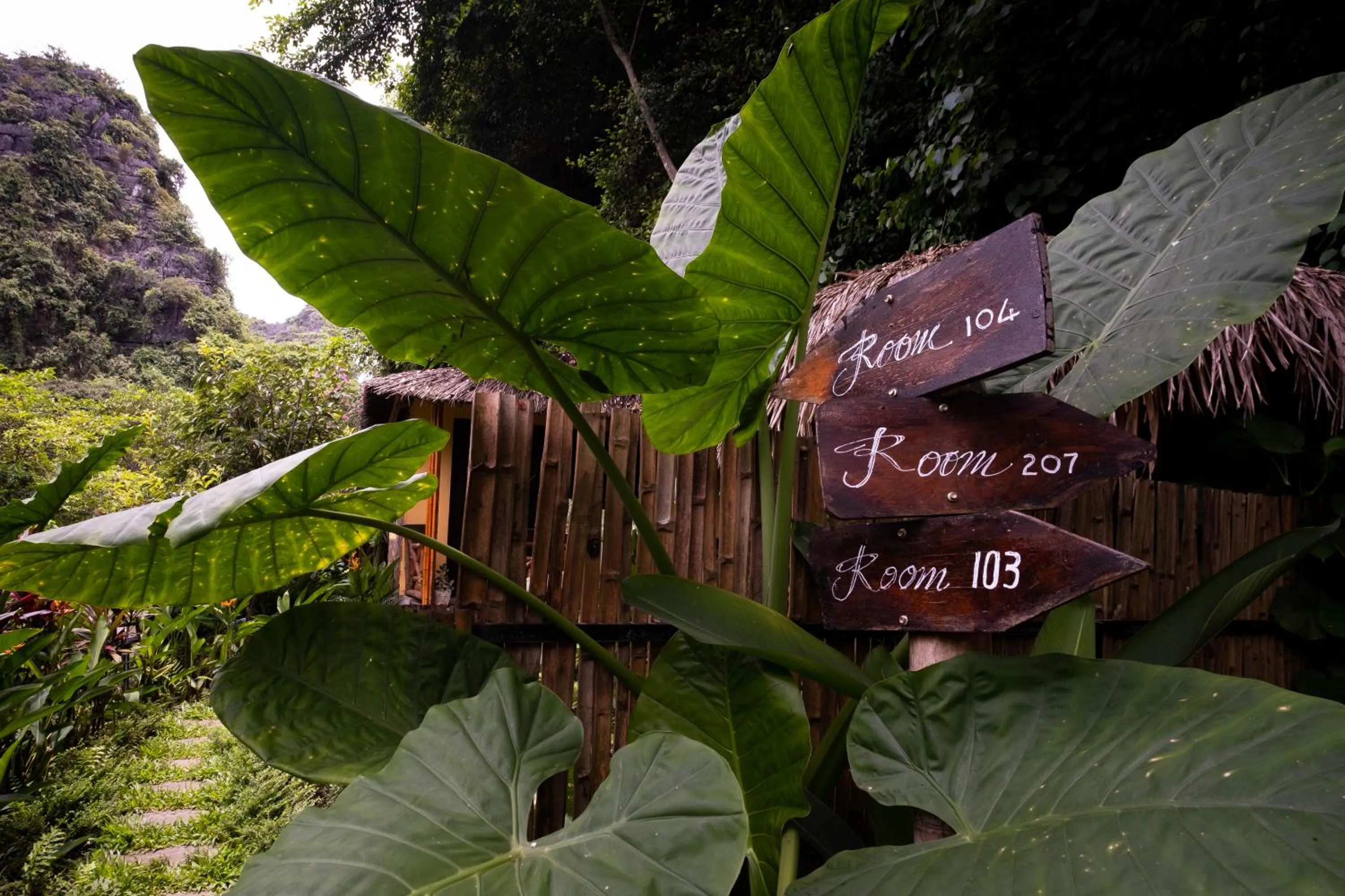 Natural landscape in Trang An Ecolodge
