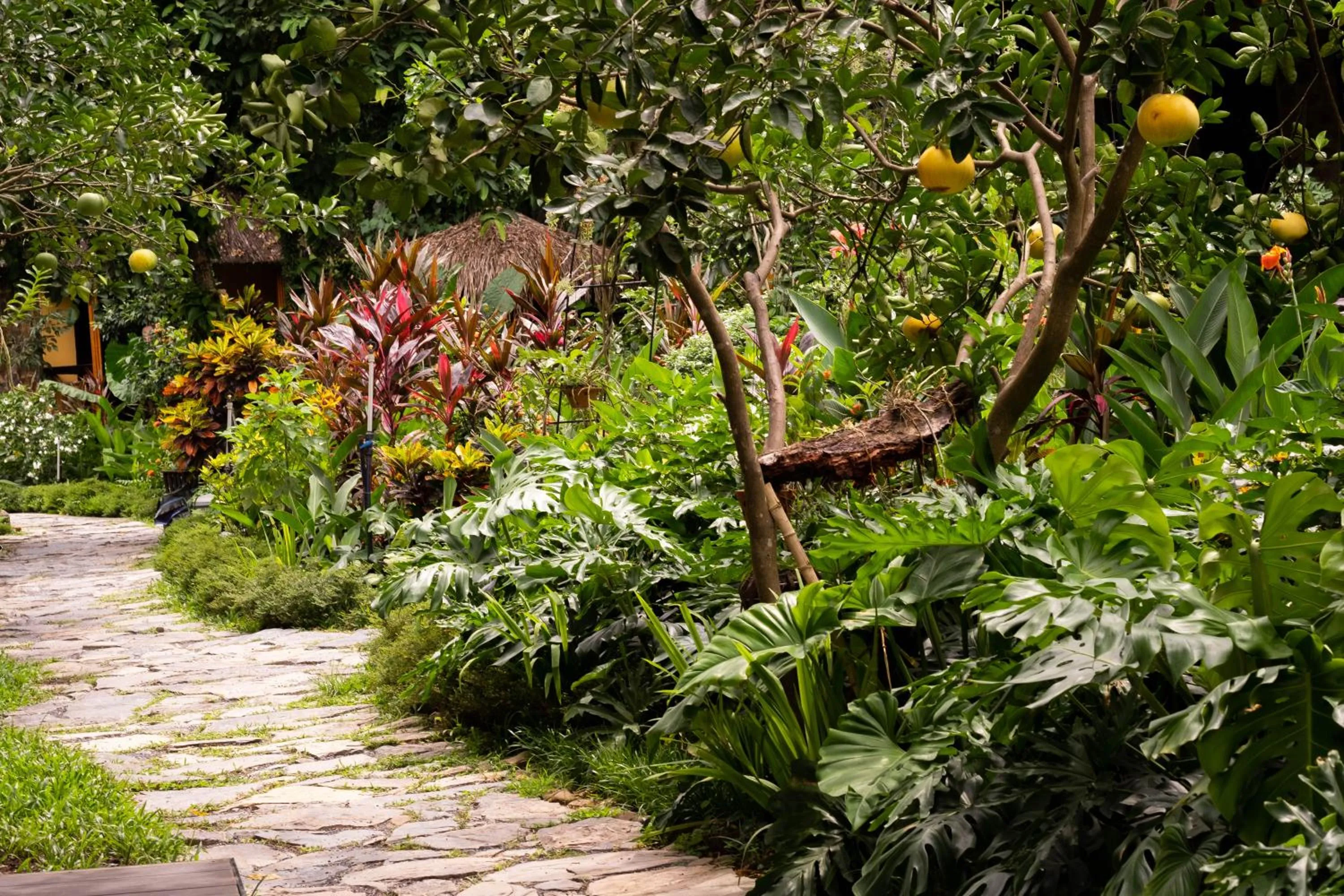 Patio in Trang An Ecolodge