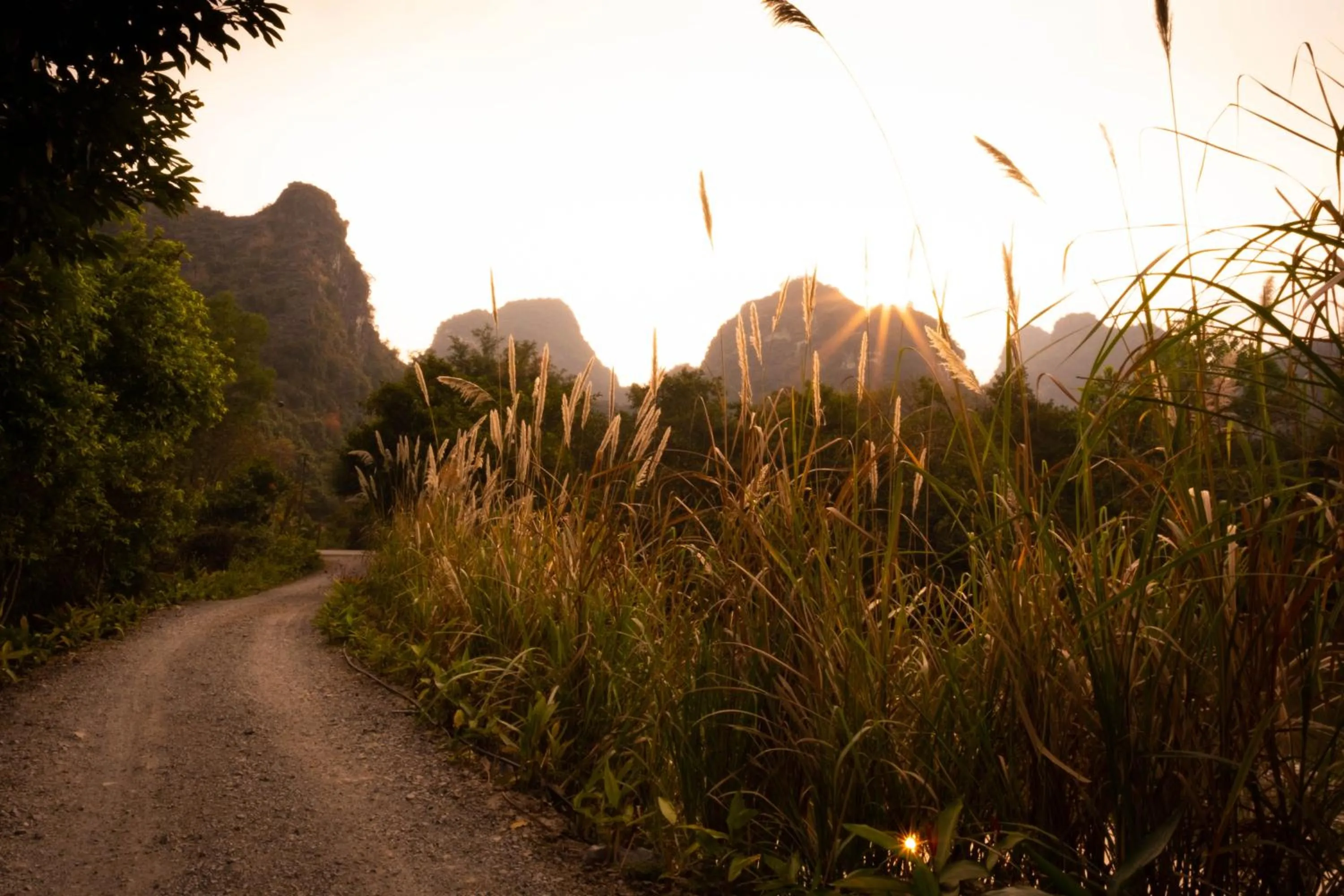 Property building in Trang An Ecolodge