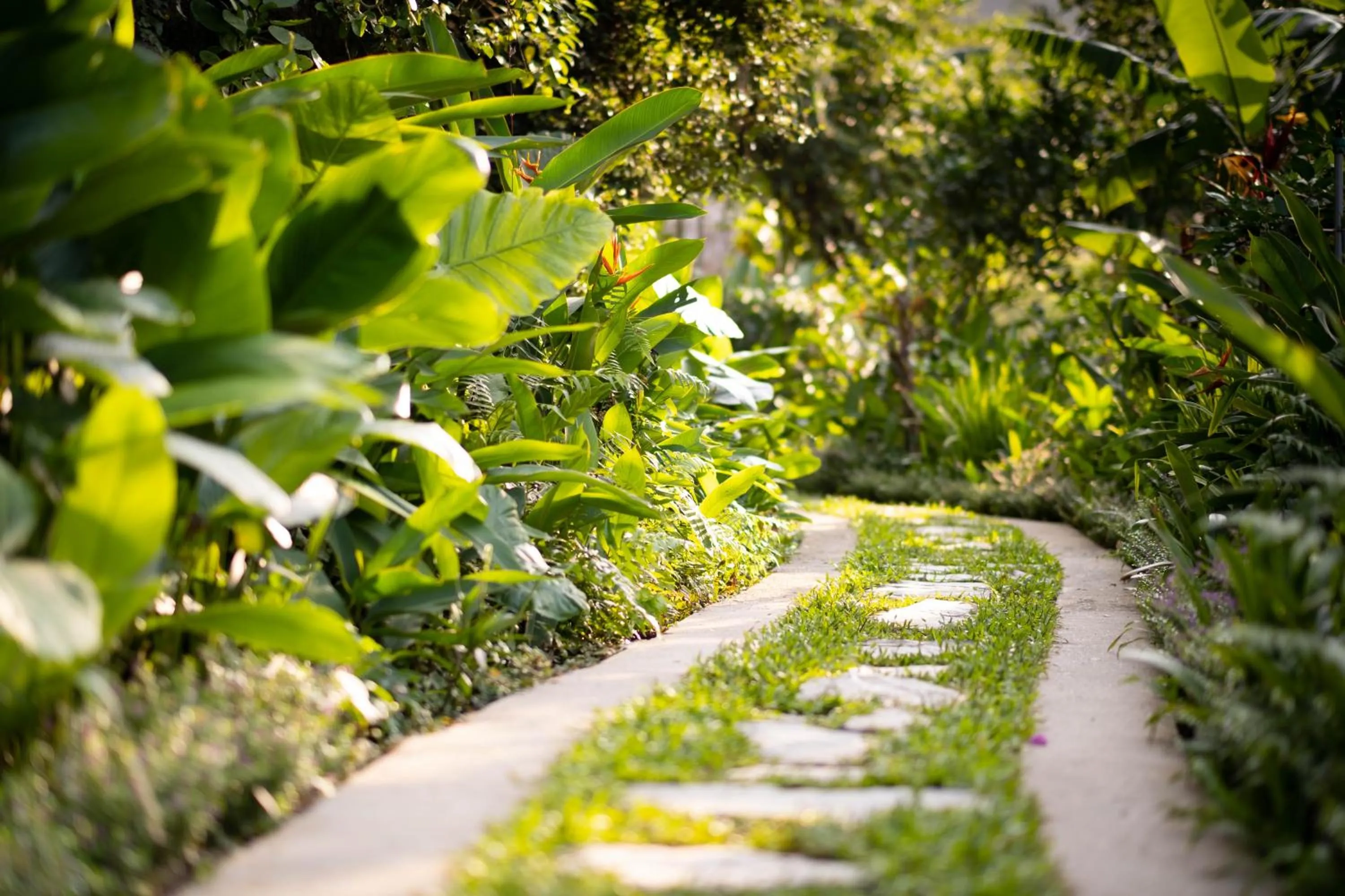 Spring in Trang An Ecolodge