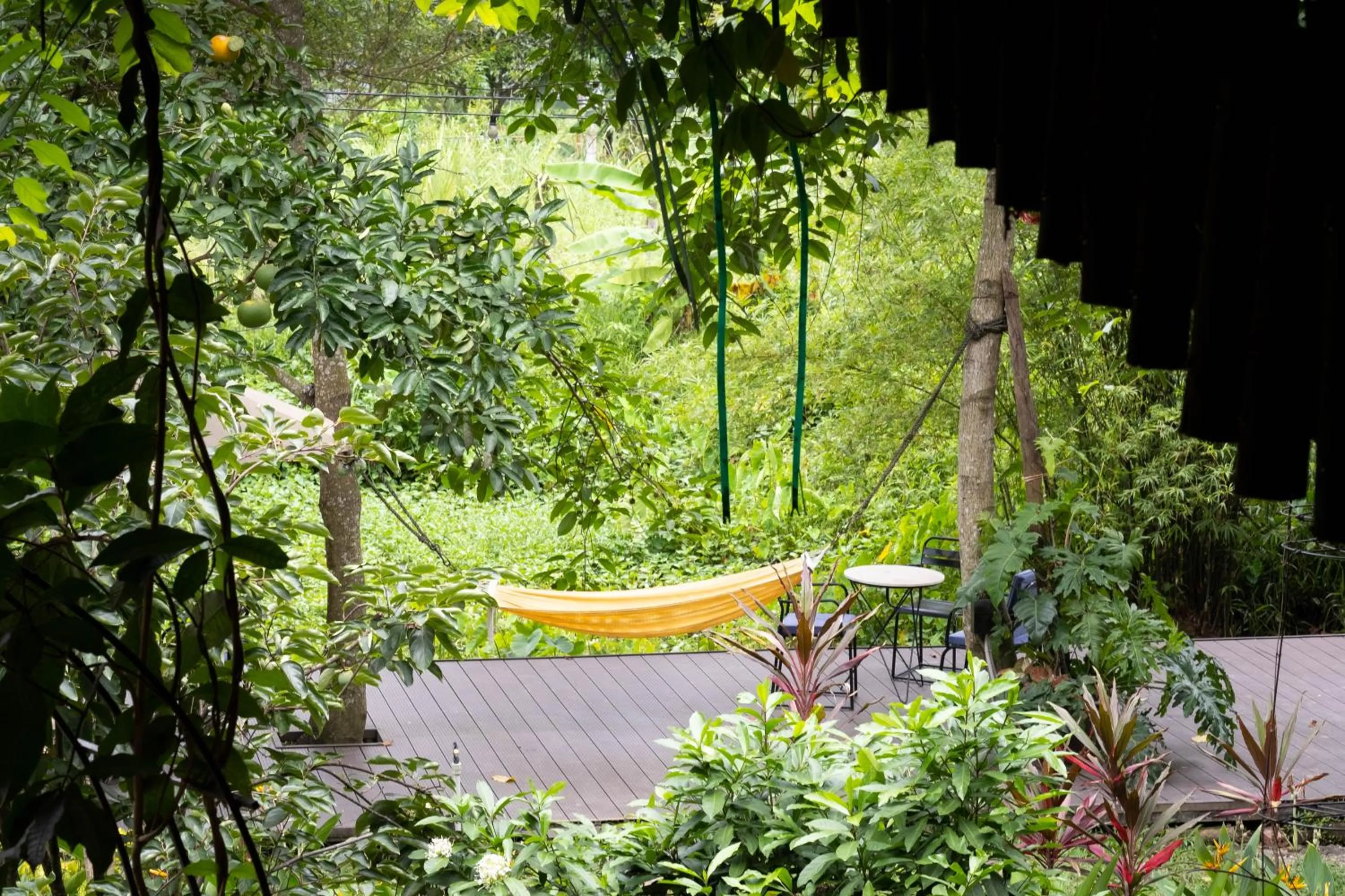 Property building in Trang An Ecolodge