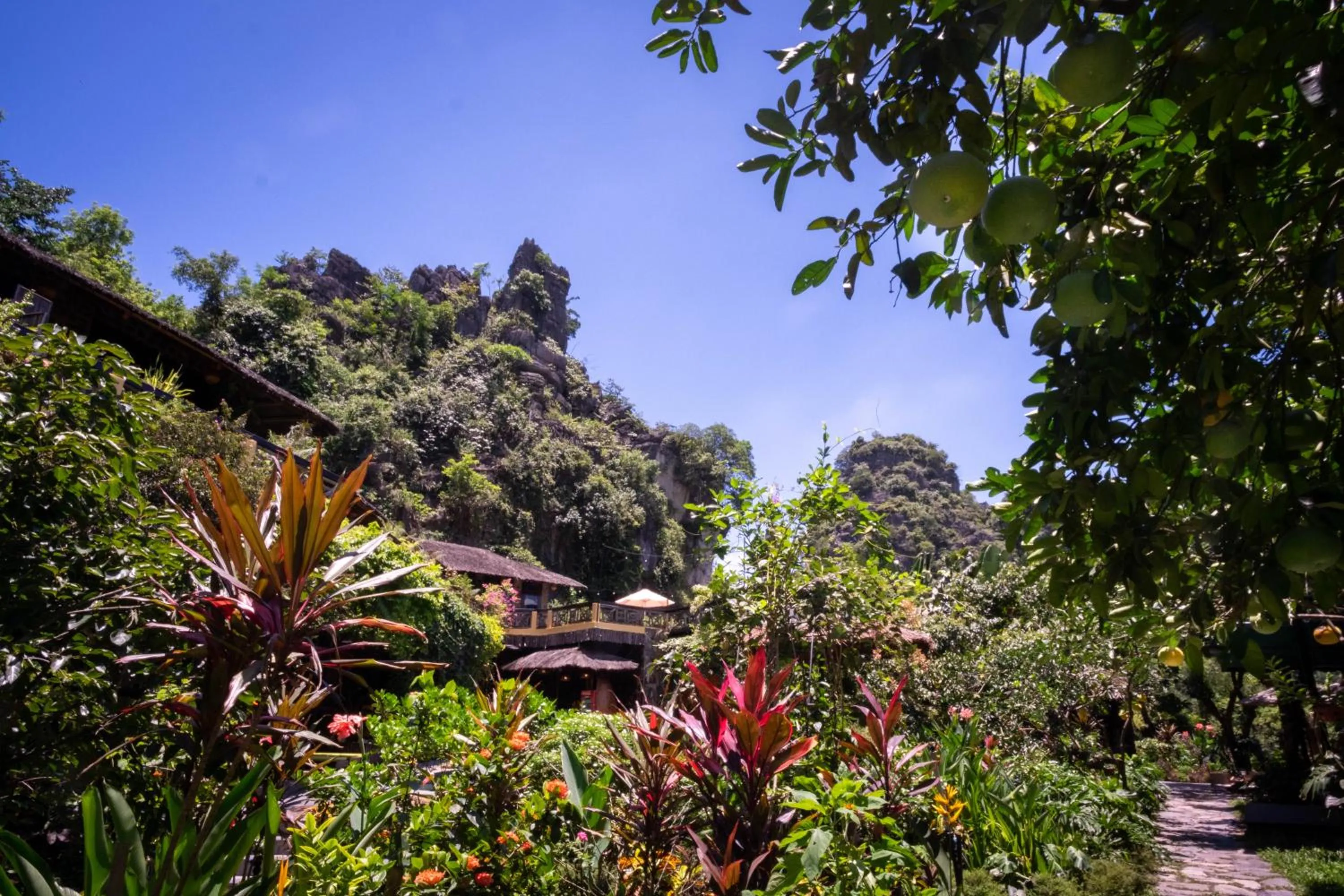 Natural landscape in Trang An Ecolodge