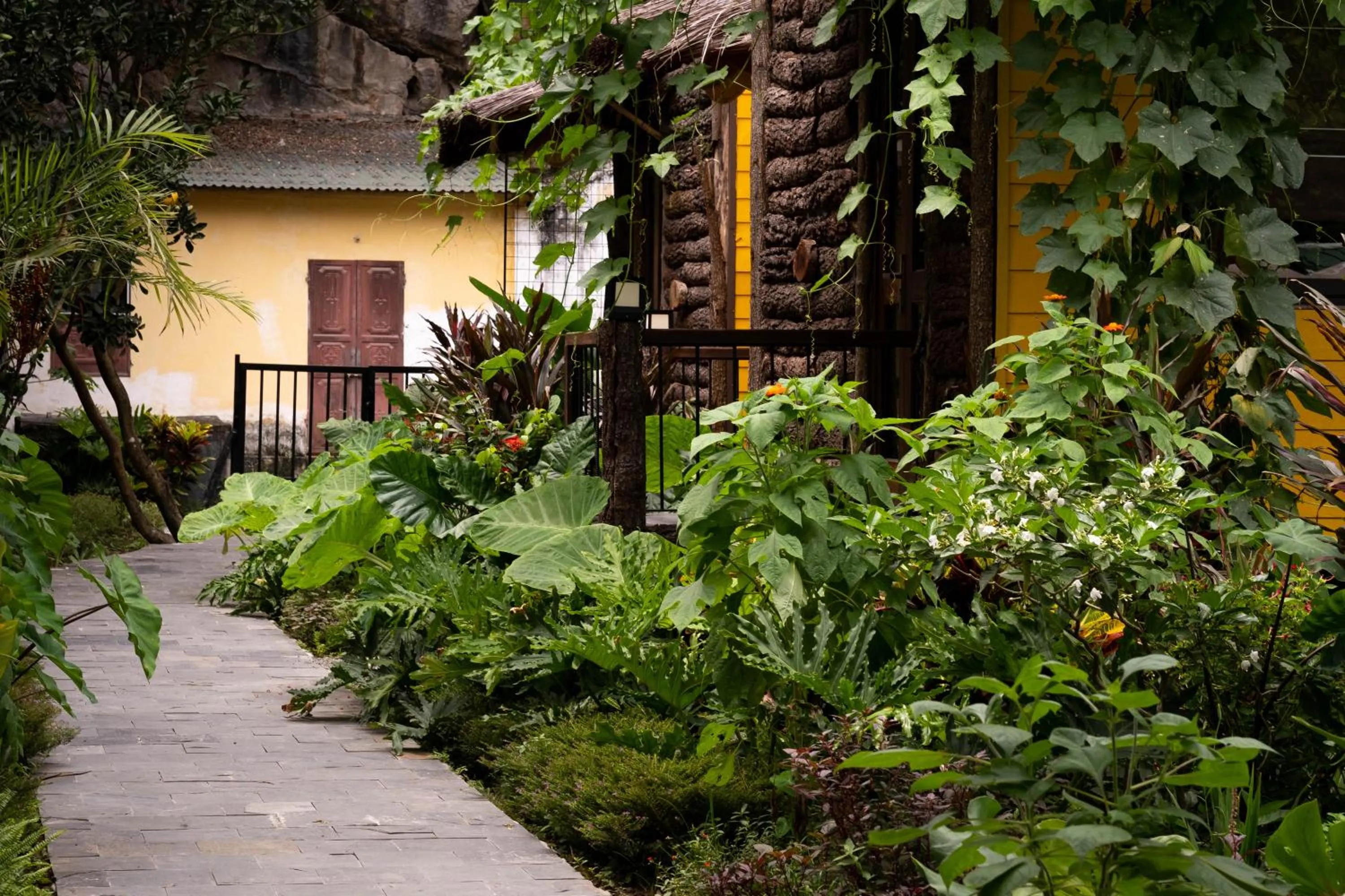 Garden in Trang An Ecolodge