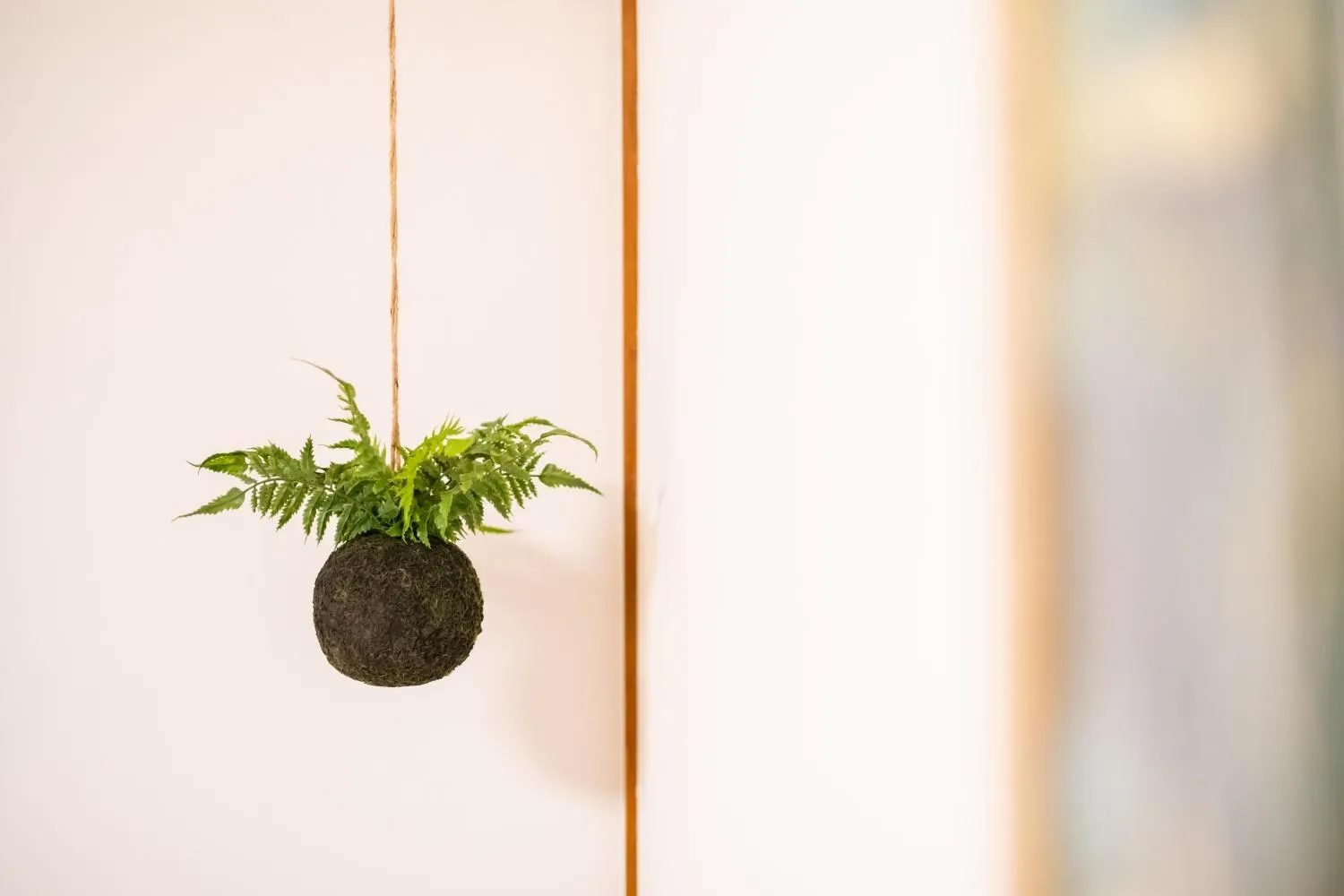 Day in REN Kitamatsunoki