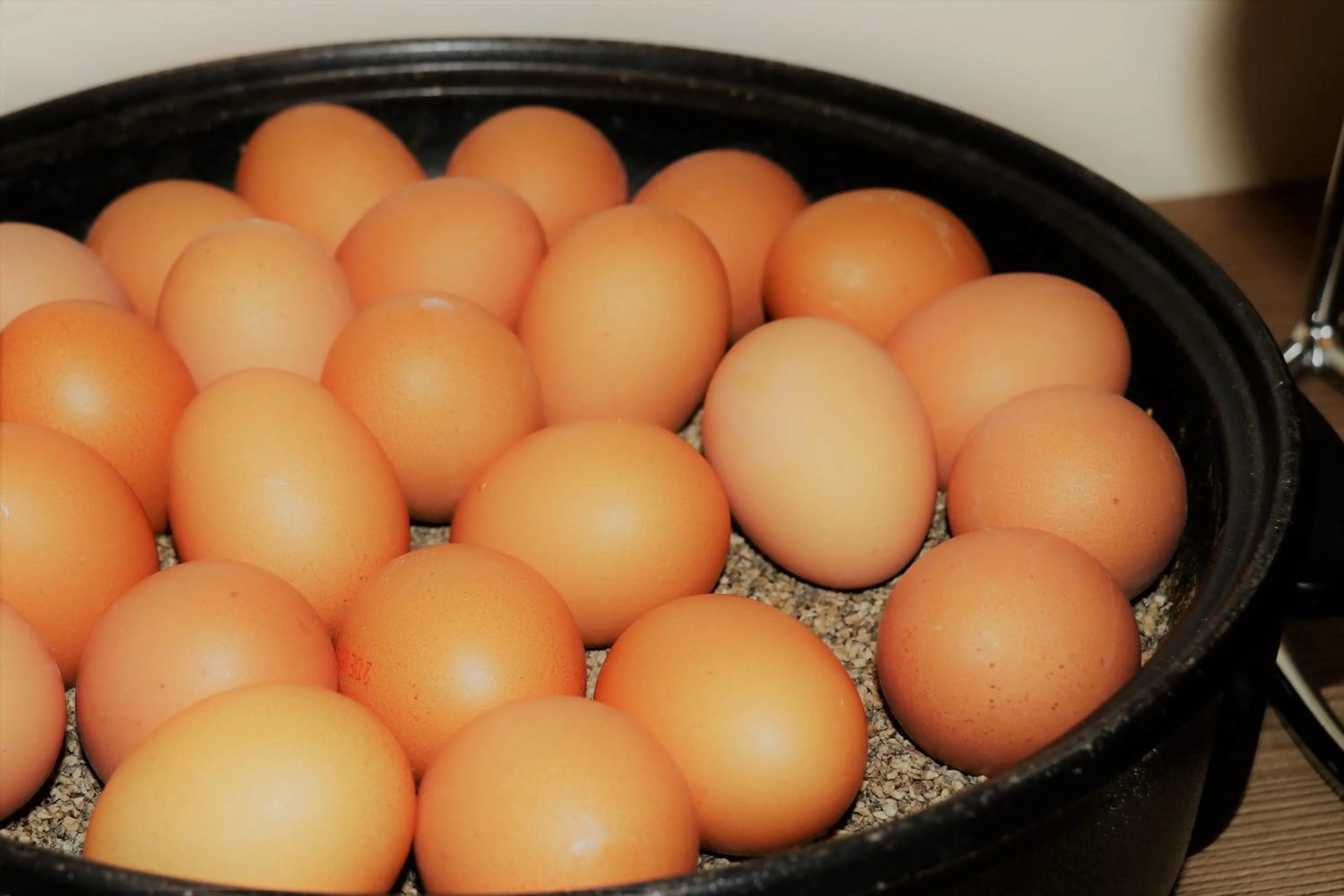 Buffet breakfast in Hotel Hamburg Stadtzentrum