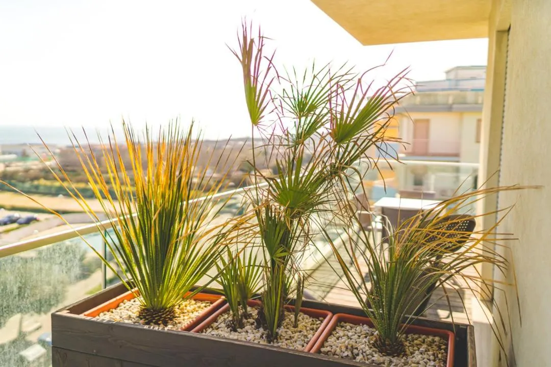 Albamarina Residence