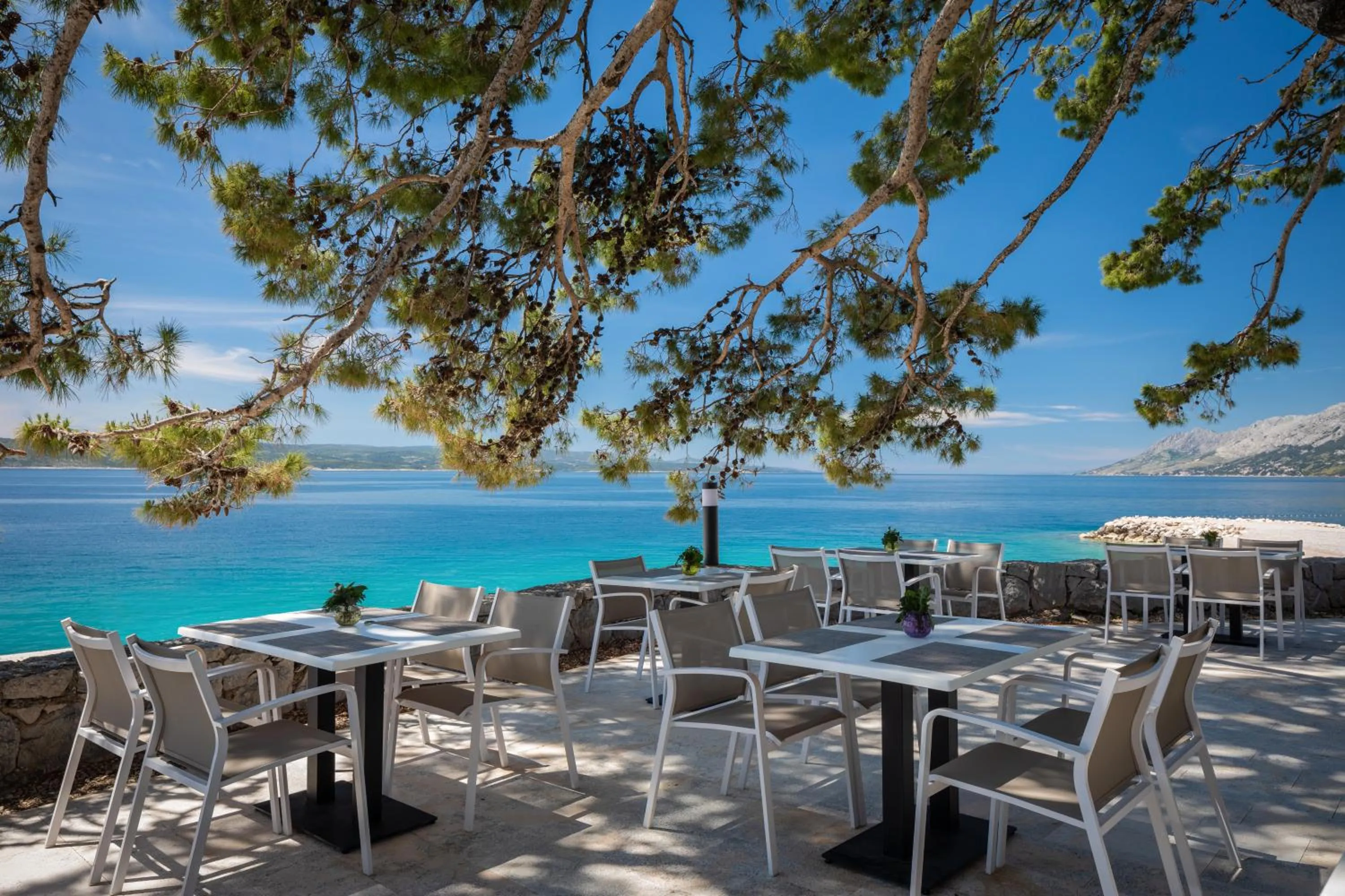 Restaurant/places to eat in Bluesun Mala Berulia