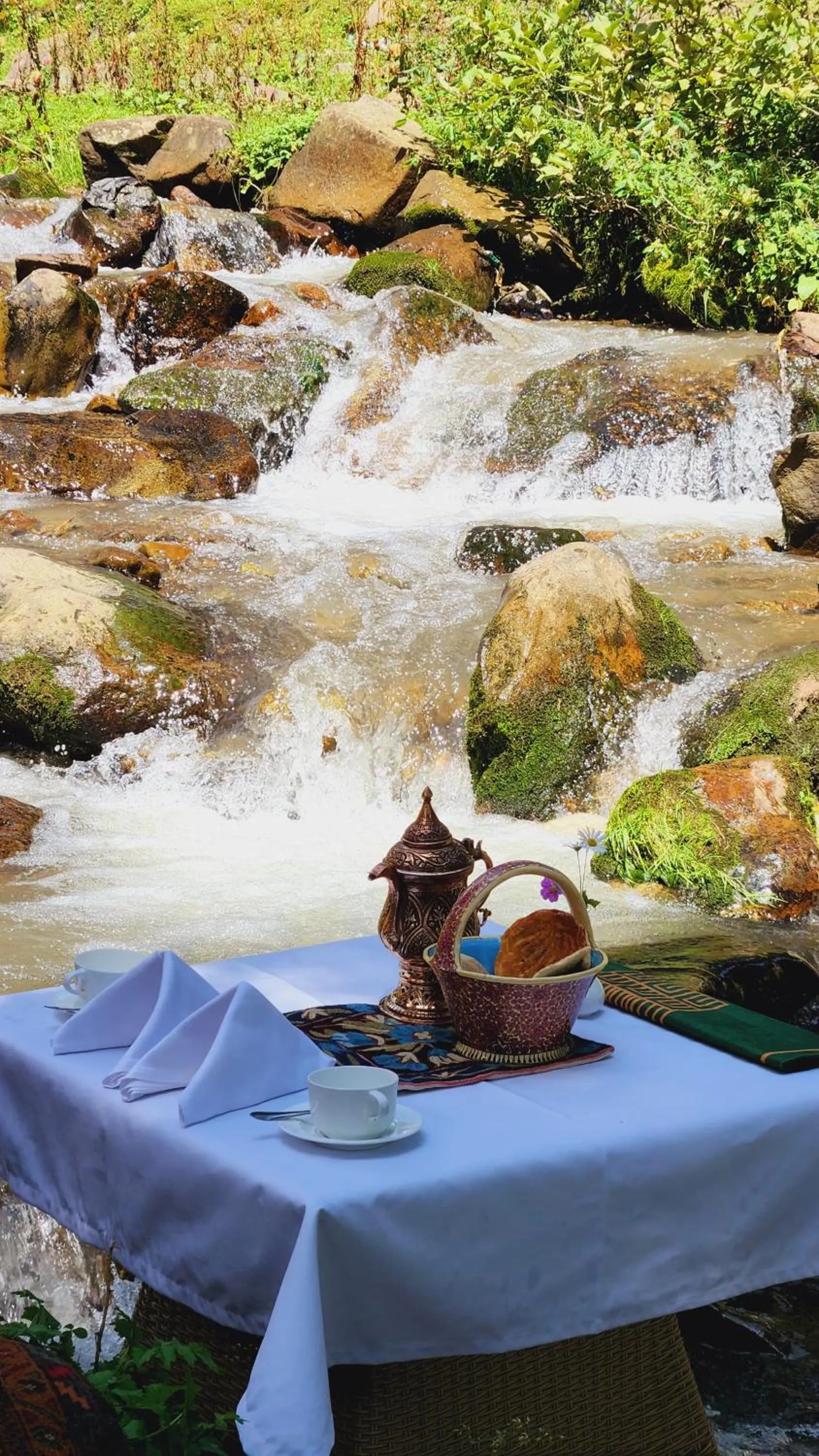 Activities in Shaw Inn by Stay Pattern