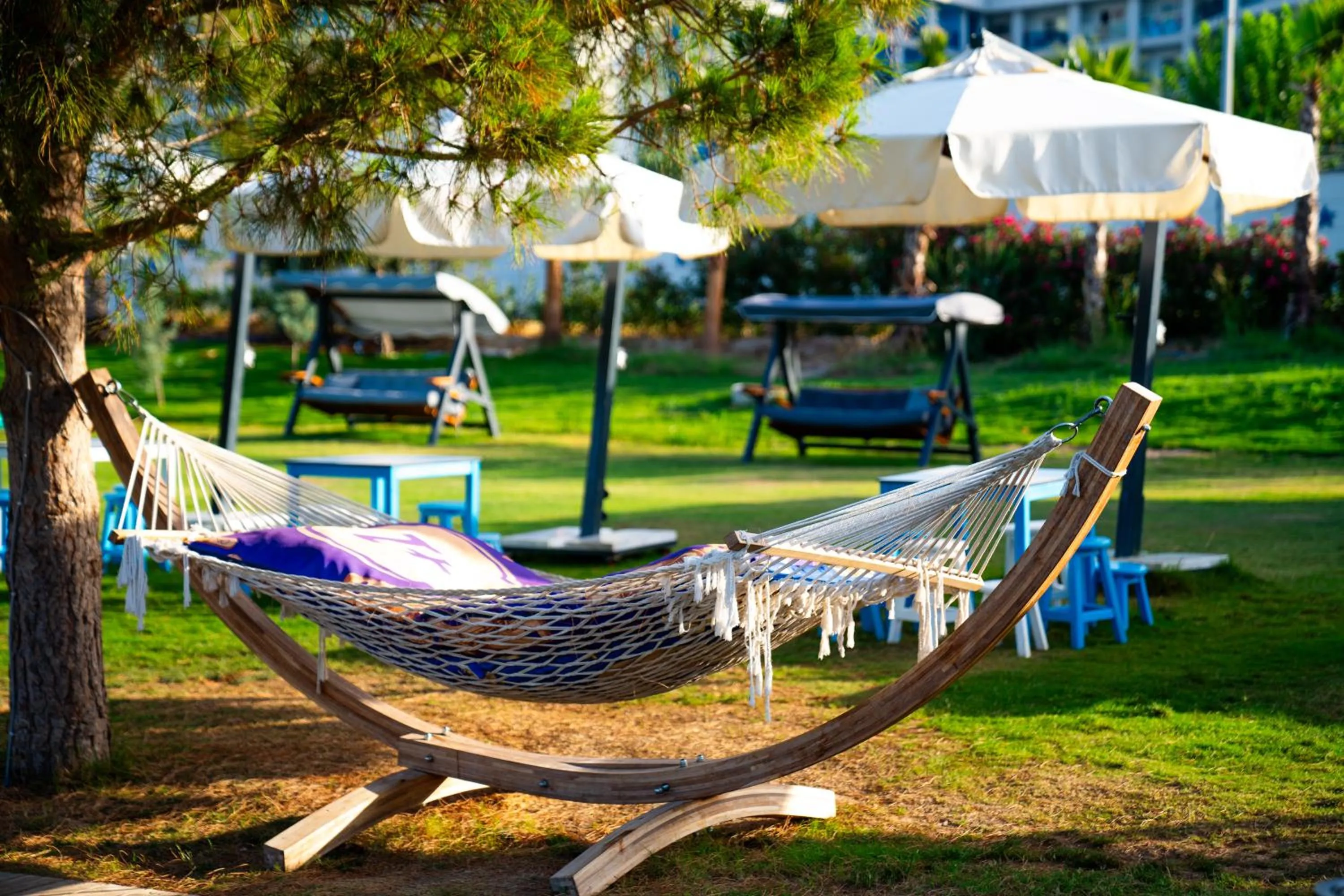 Spring in Maxeria Blue Didyma