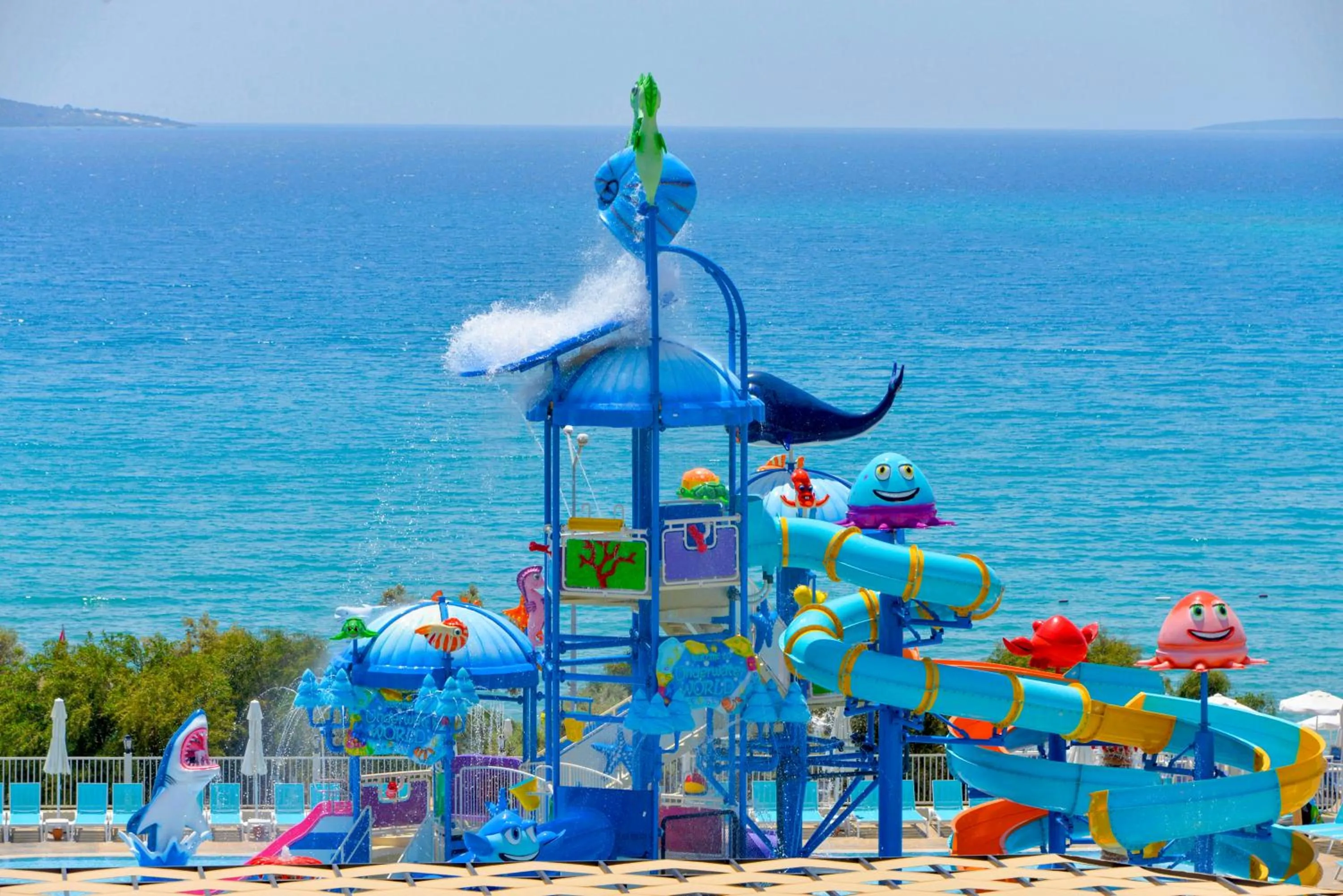 Day in Maxeria Blue Didyma