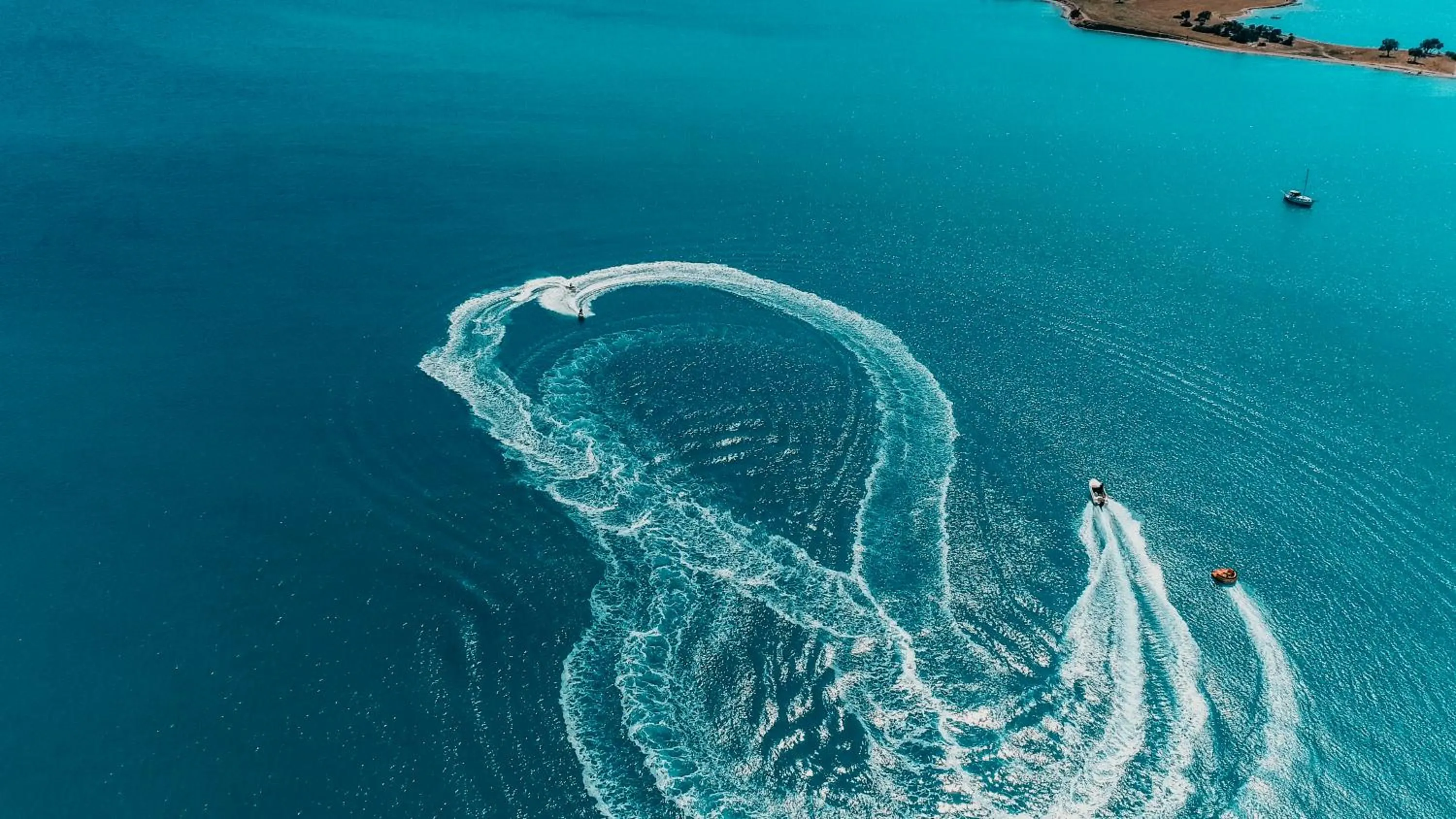 Day in Maxeria Blue Didyma