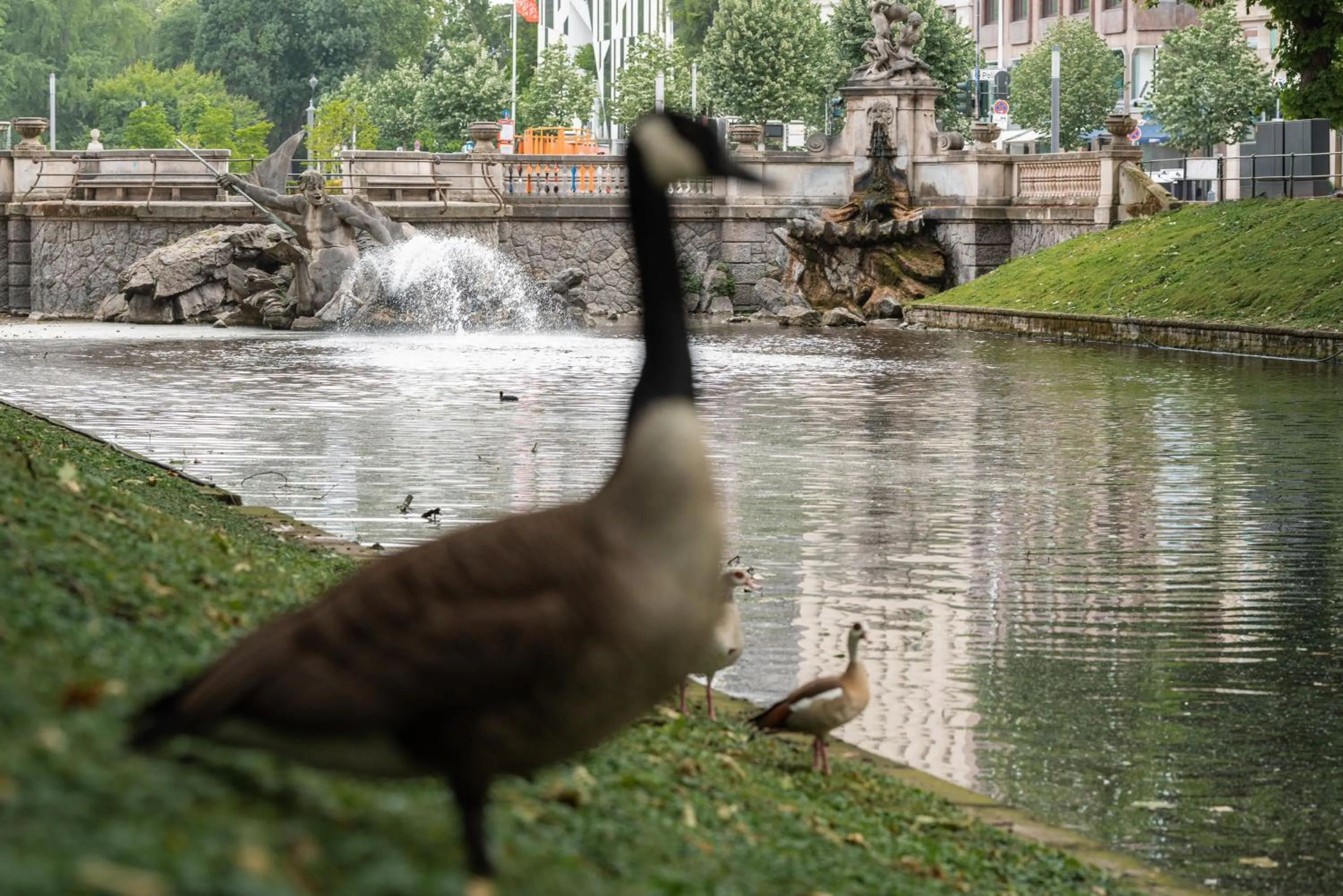 Animals in Hotel Kö59 Düsseldorf - Member of Hommage Luxury Hotels Collection