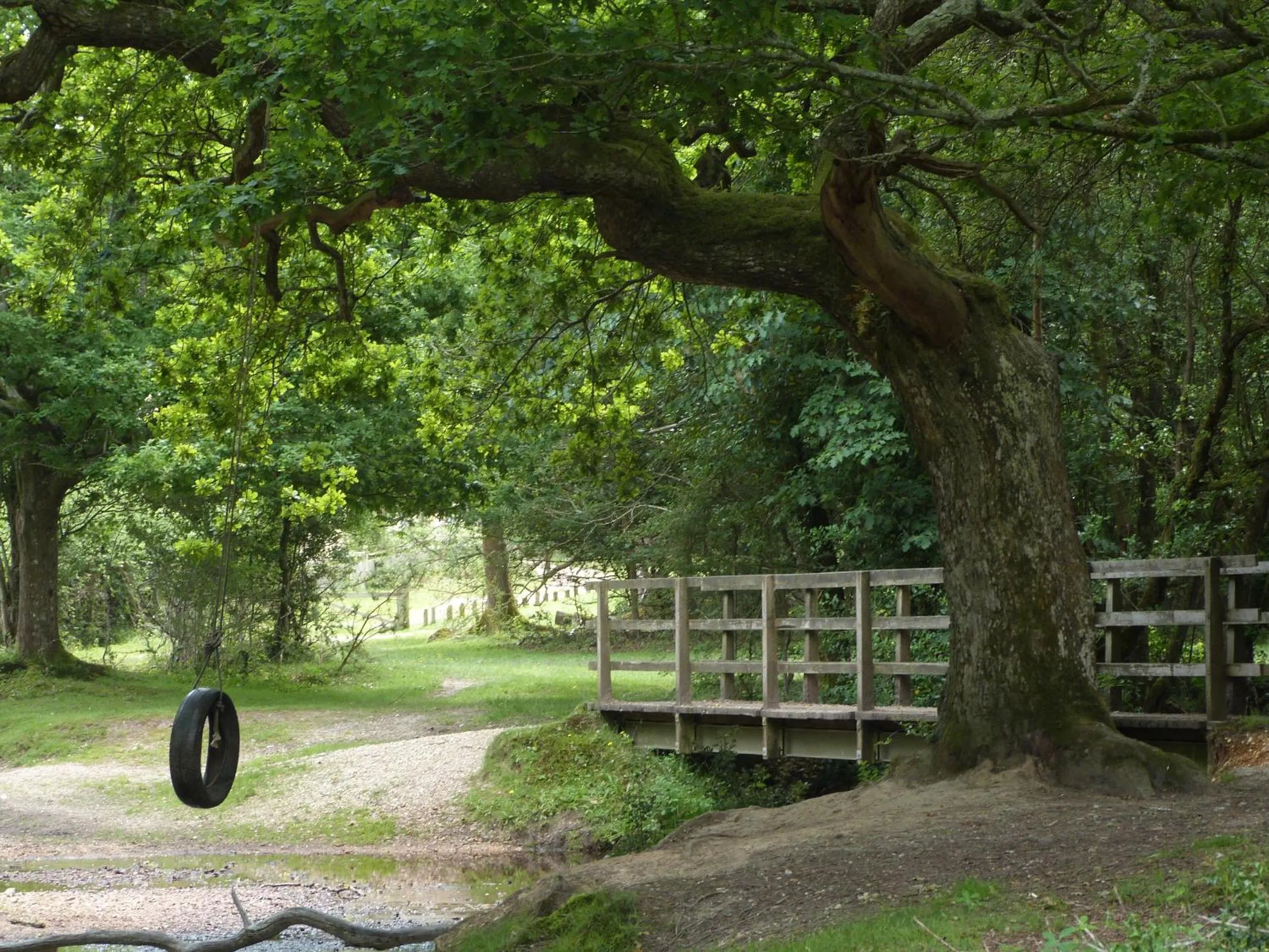 Natural landscape in Vinegar Hill Pottery