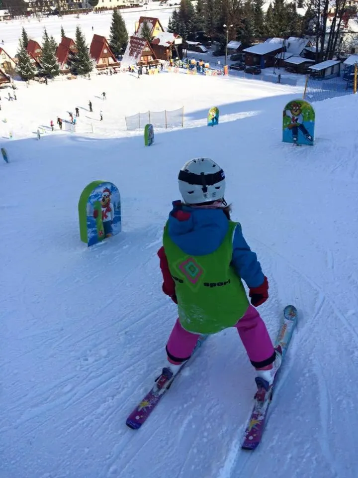 Day in Pod Starym Groniem