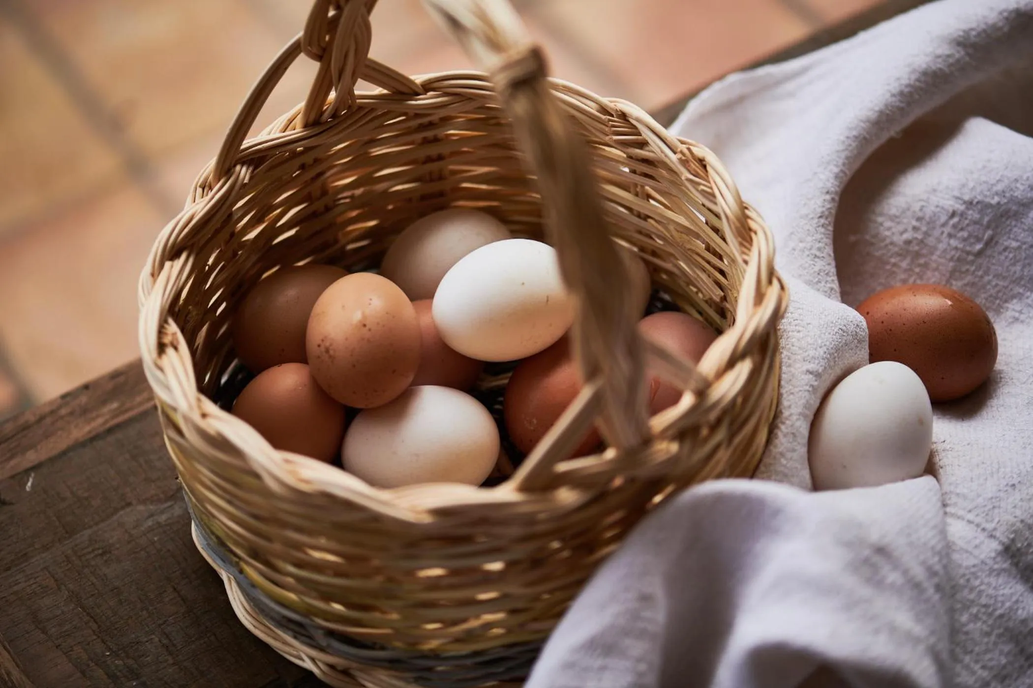 Food in Cascioni Eco Retreat