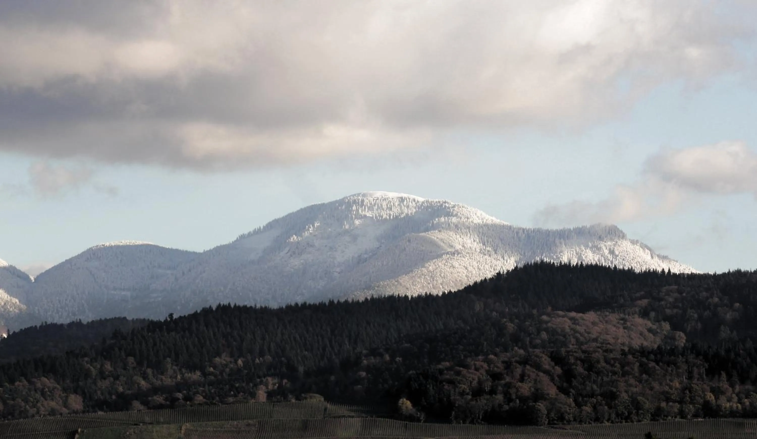 Area and facilities in Atrium Hotel Baden