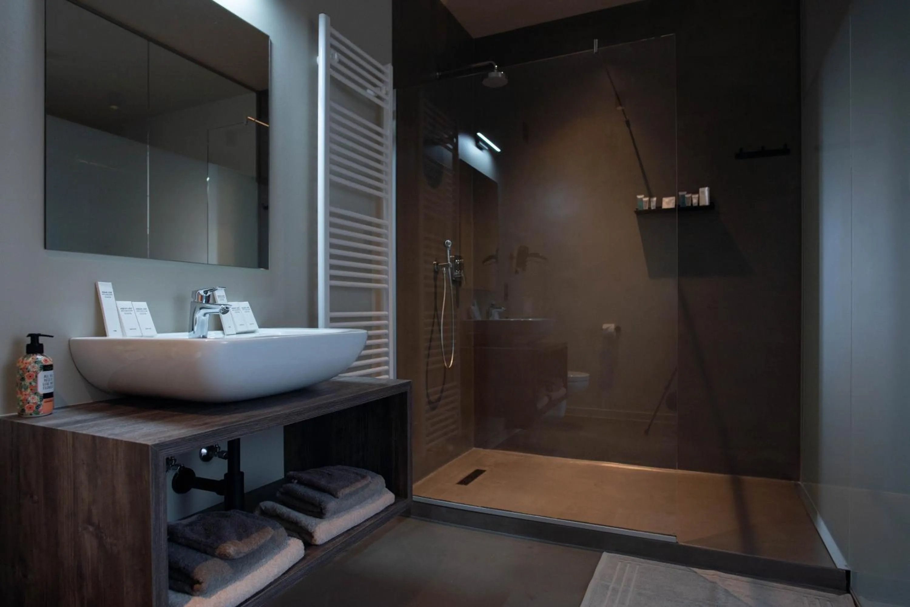 Bathroom in ‘t Ponton