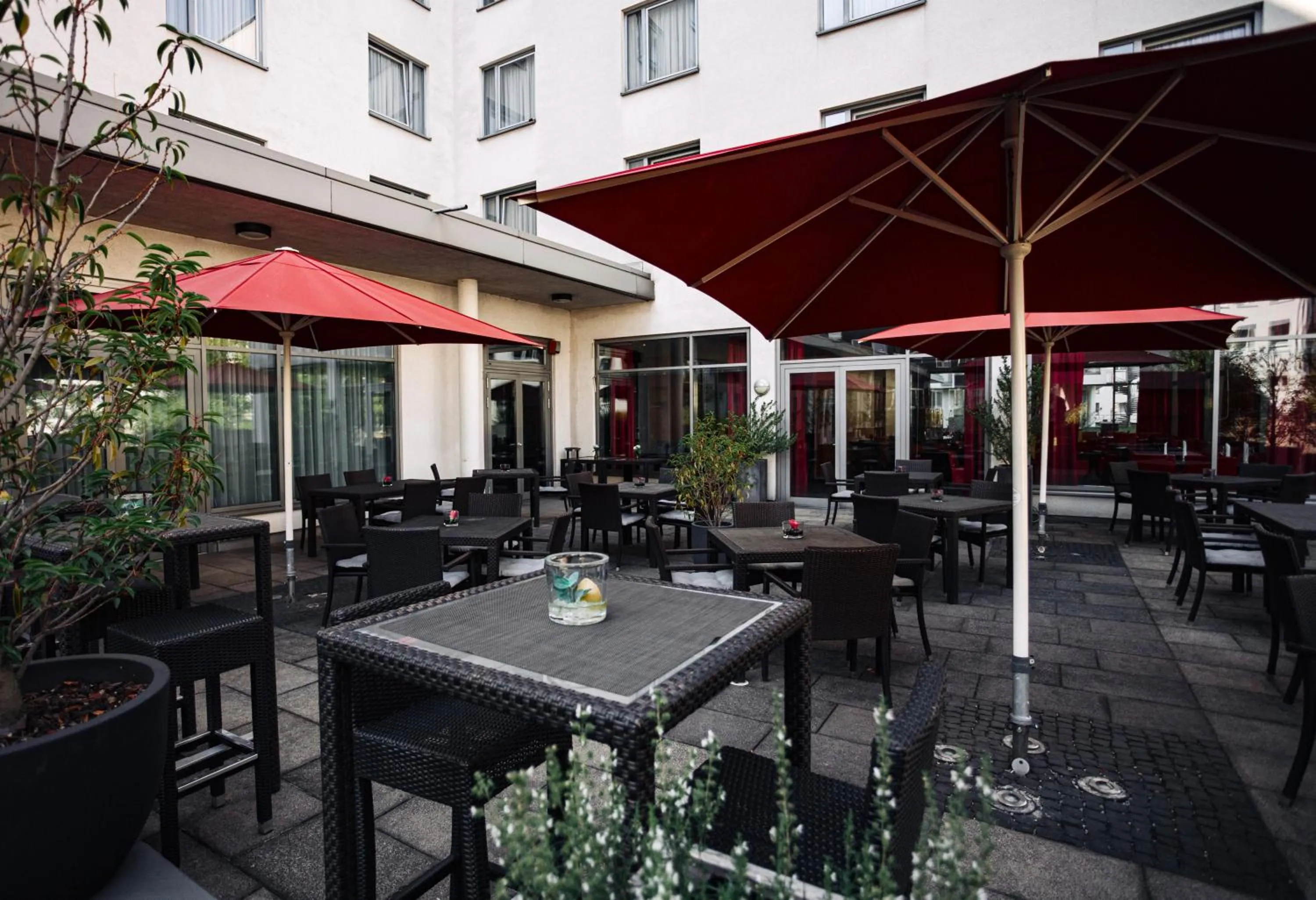 Garden in Ramada by Wyndham Essen