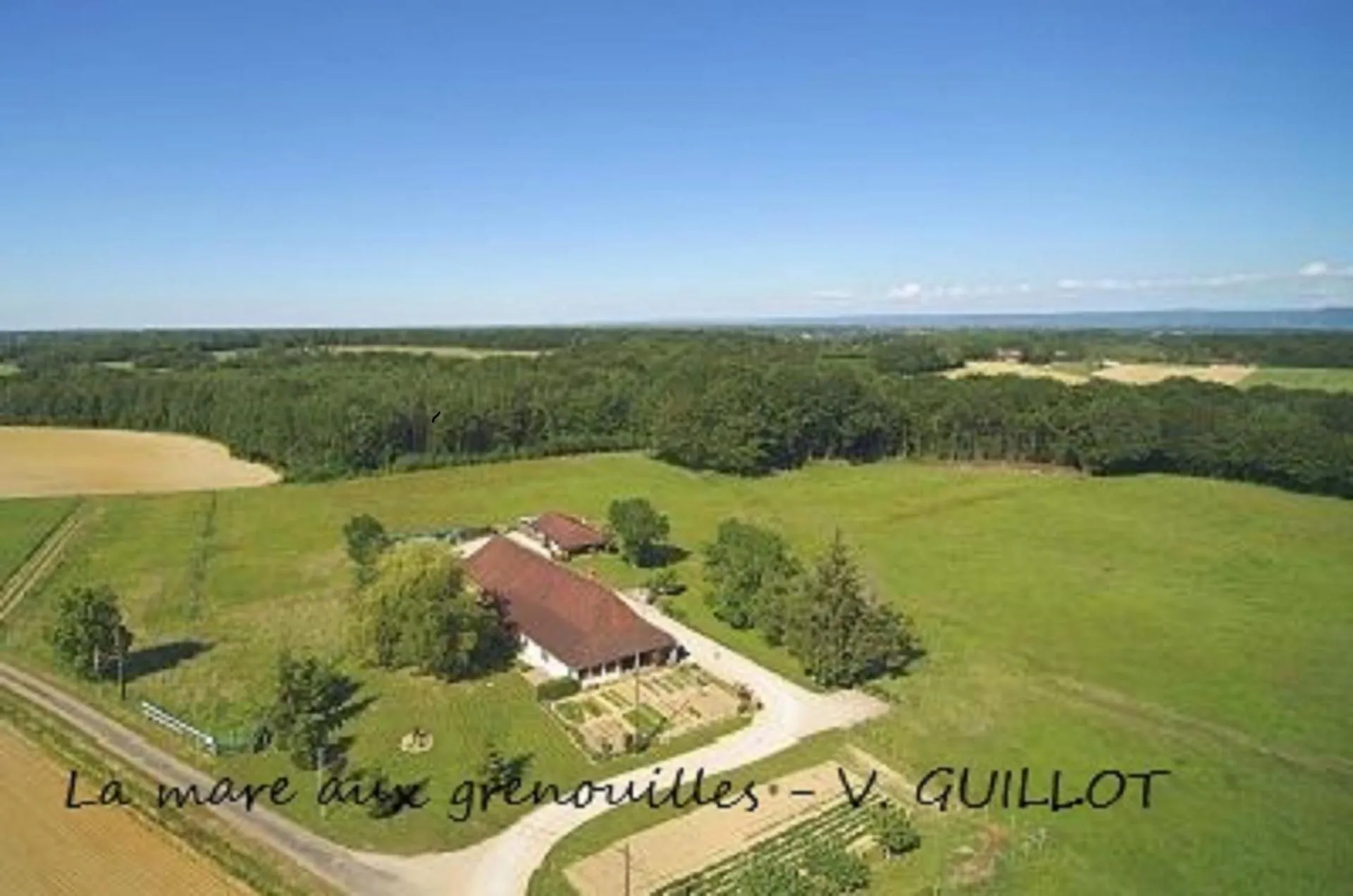 Bird's eye view in La mare aux grenouilles