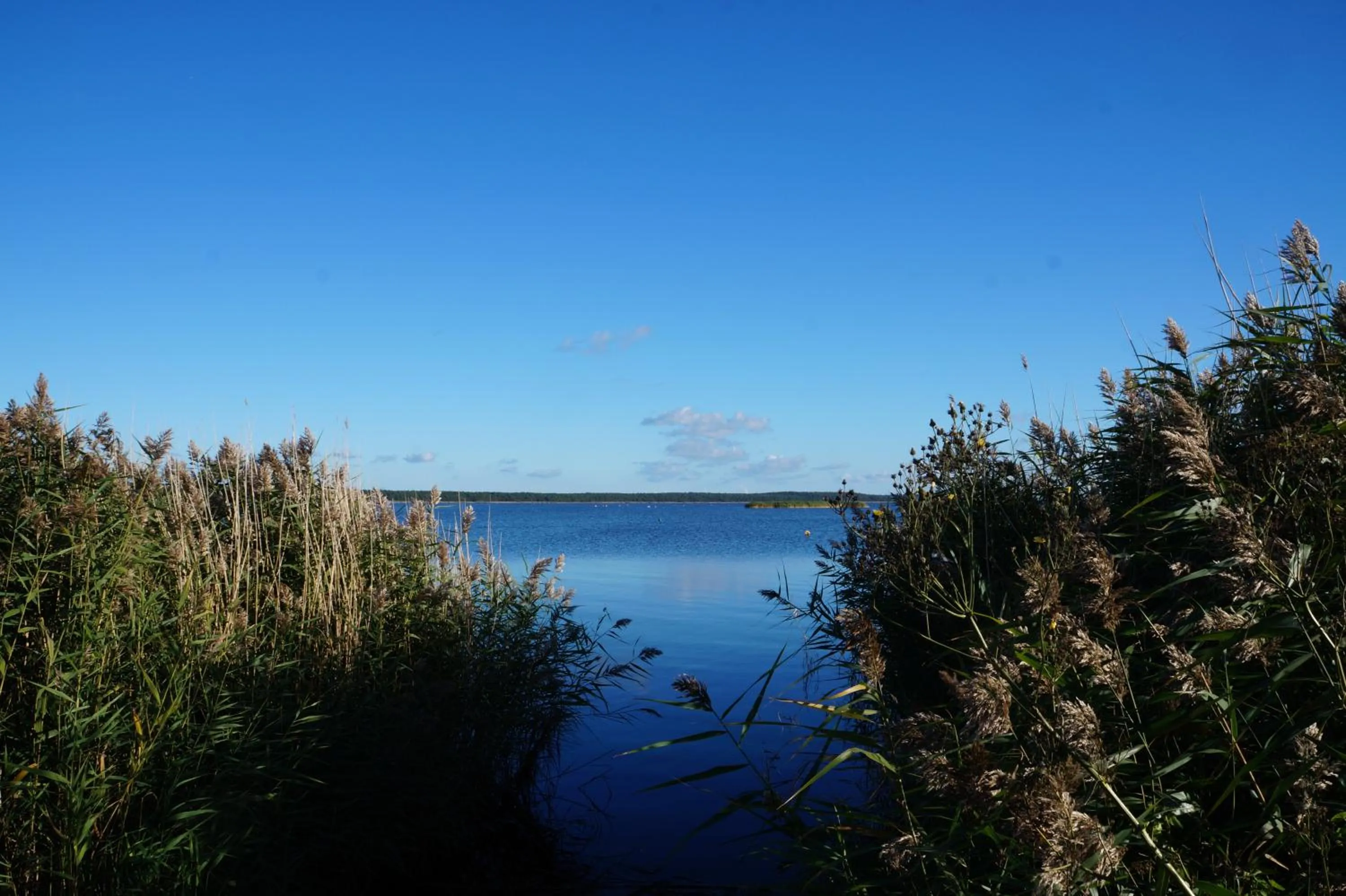 Sea view in Hotel- & Ferienanlage Kapitäns-Häuser Breege