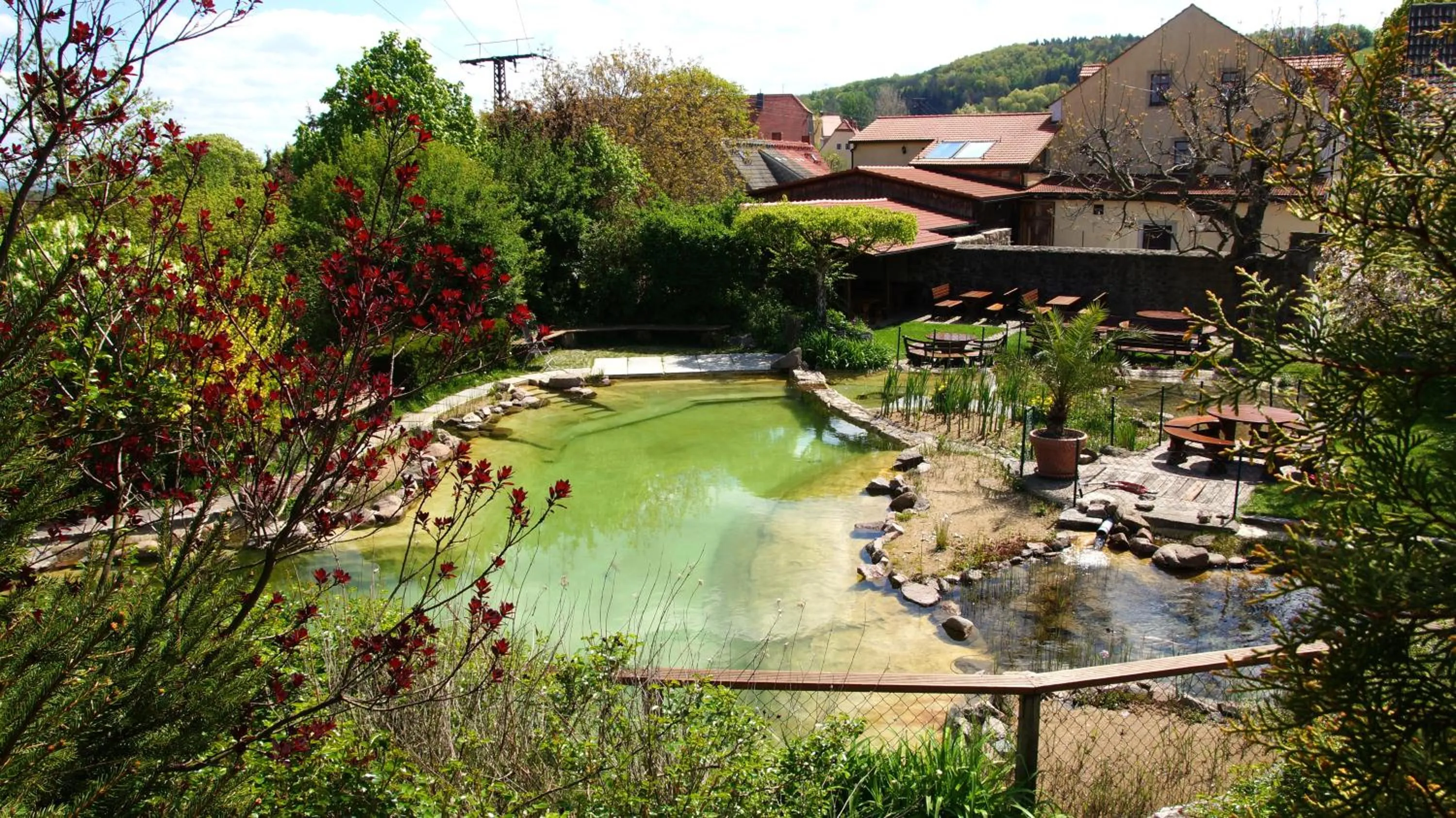 Summer in Landhotel Gut Wildberg mit Sauna