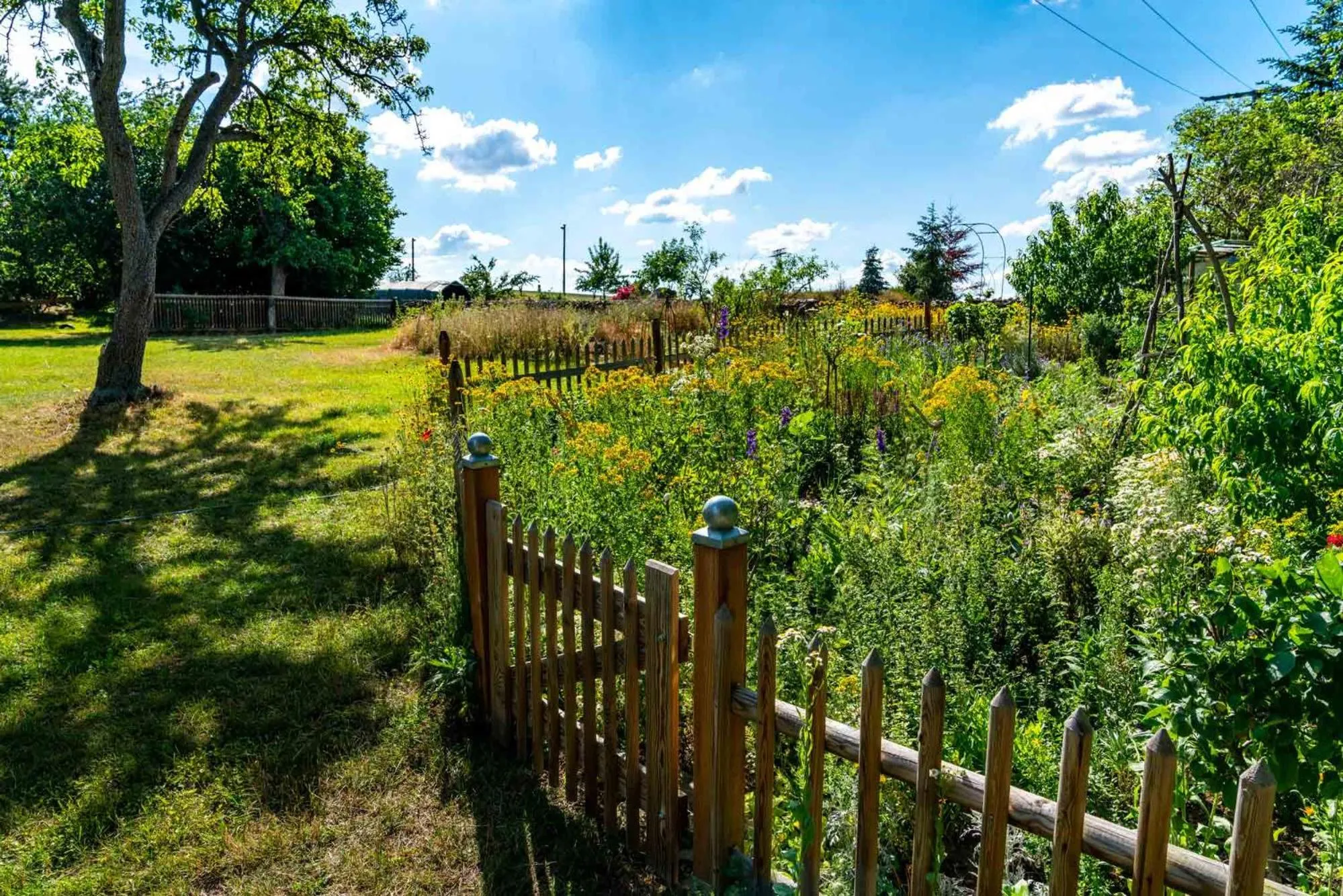 Garden in Landhotel Gut Wildberg mit Sauna