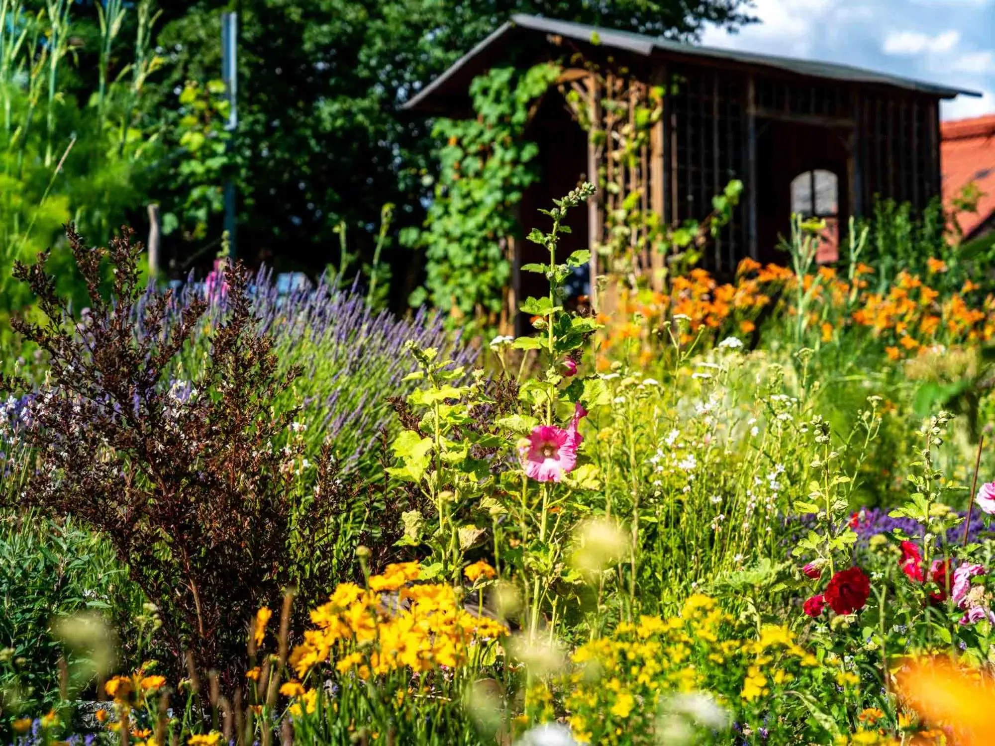 Summer in Landhotel Gut Wildberg mit Sauna