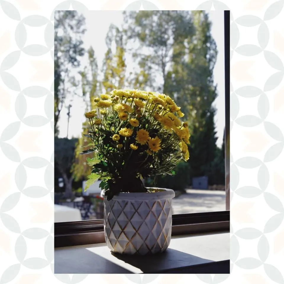 Property building in Casale Rurale