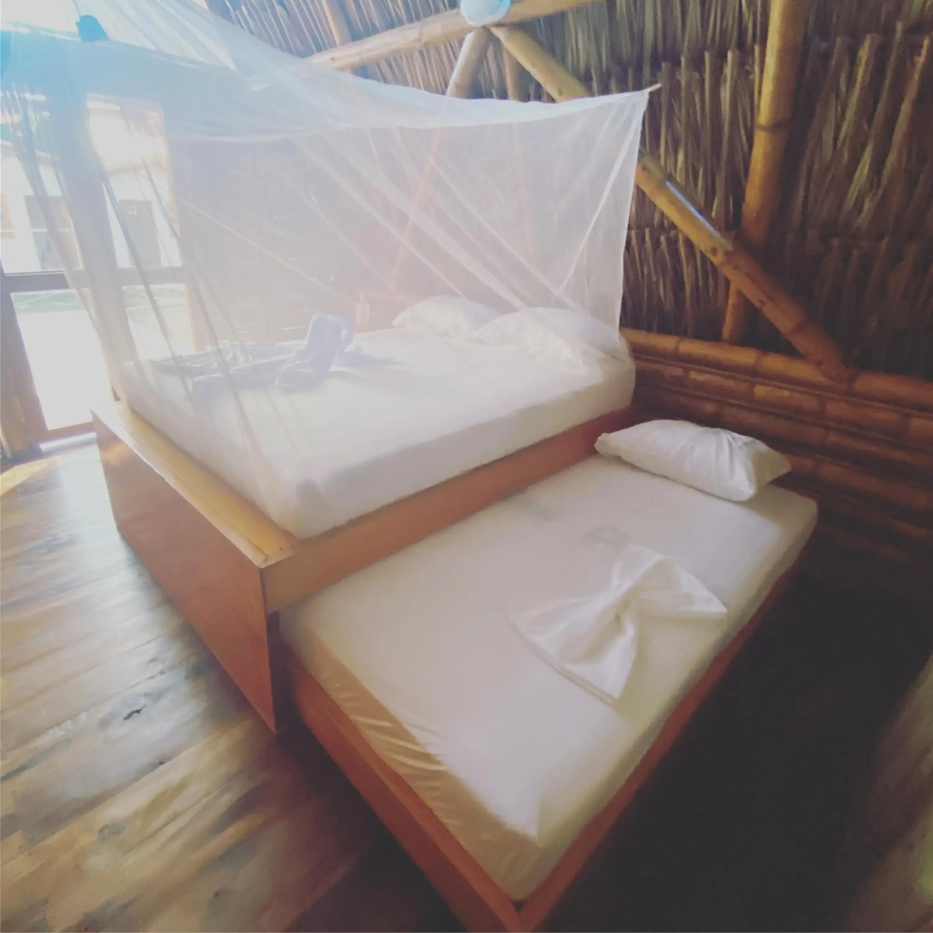 Deluxe Bungalow - single occupancy in Palomino Sunrise Deluxe Bungalow - single occupancy in Palomino Sunrise