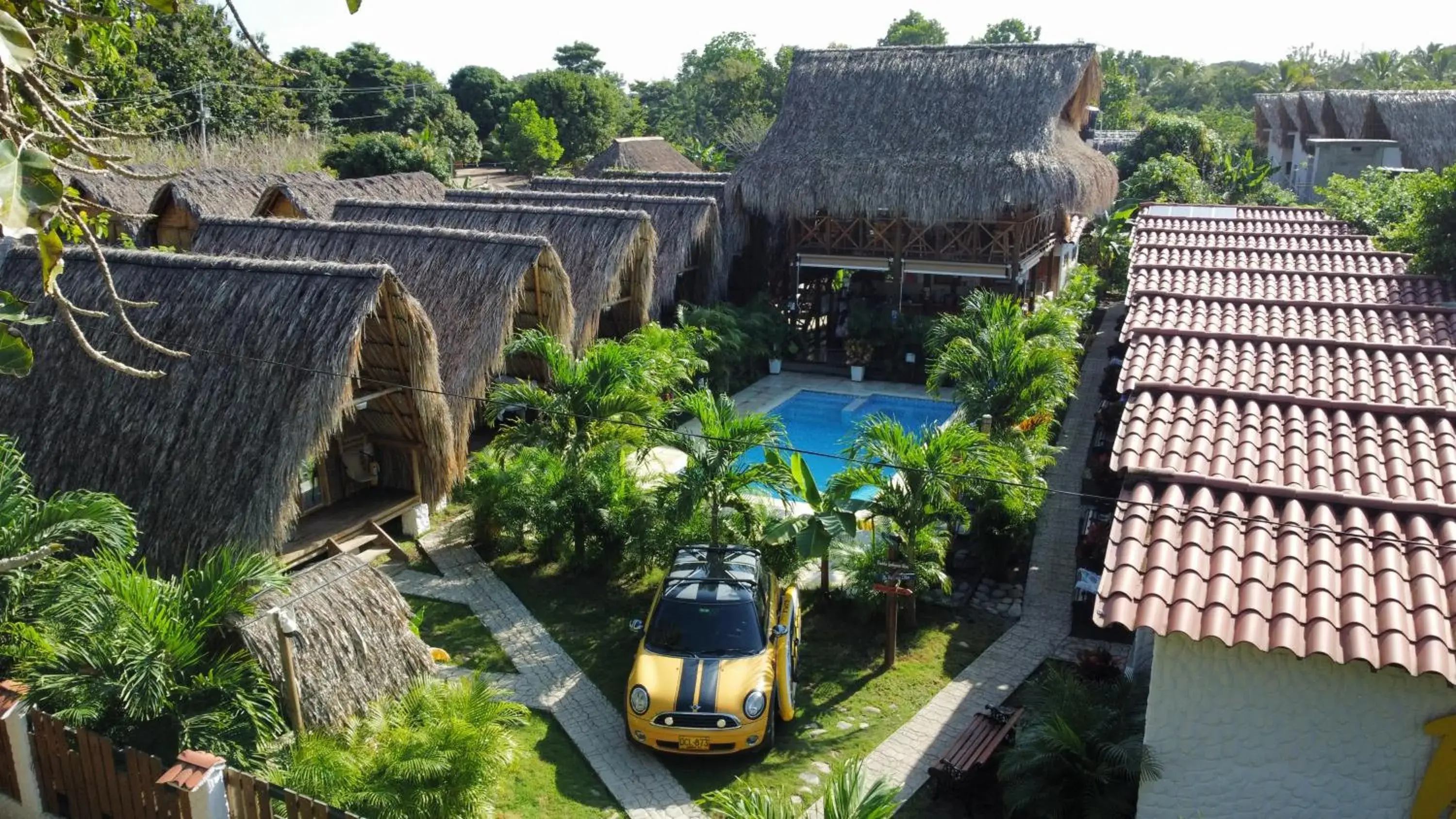 Palomino Sunrise Palomino Sunrise