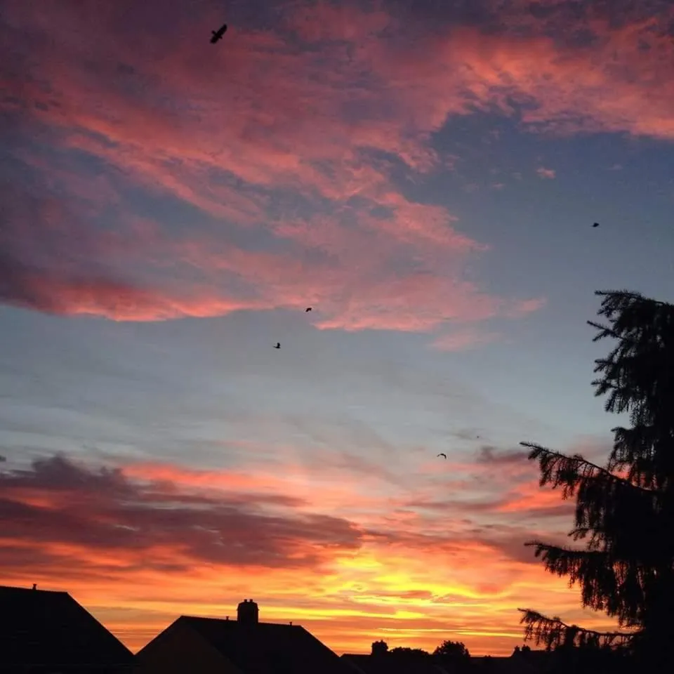 Sunrise in Falmouth Lodge