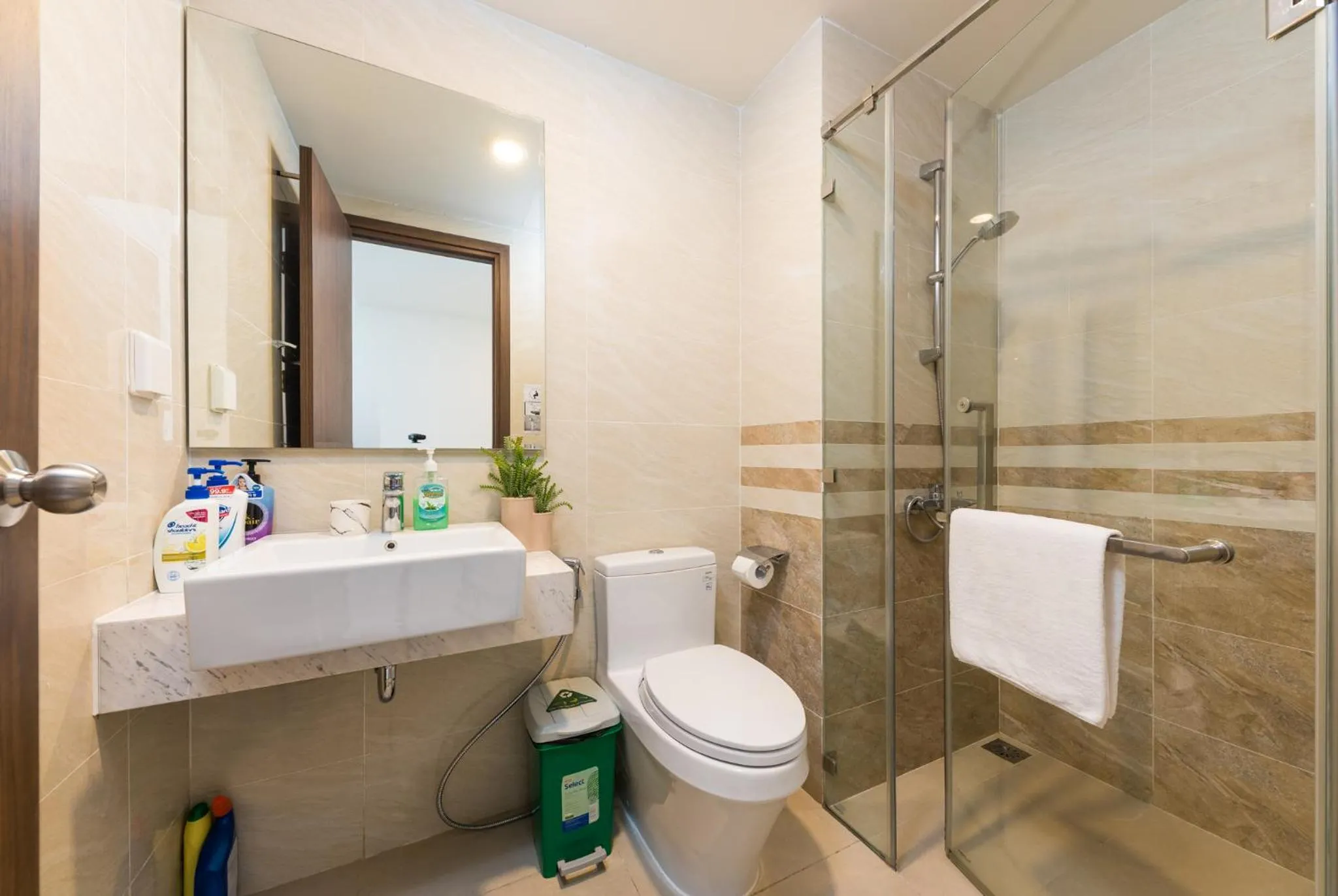 Shower in S Lux Apartment