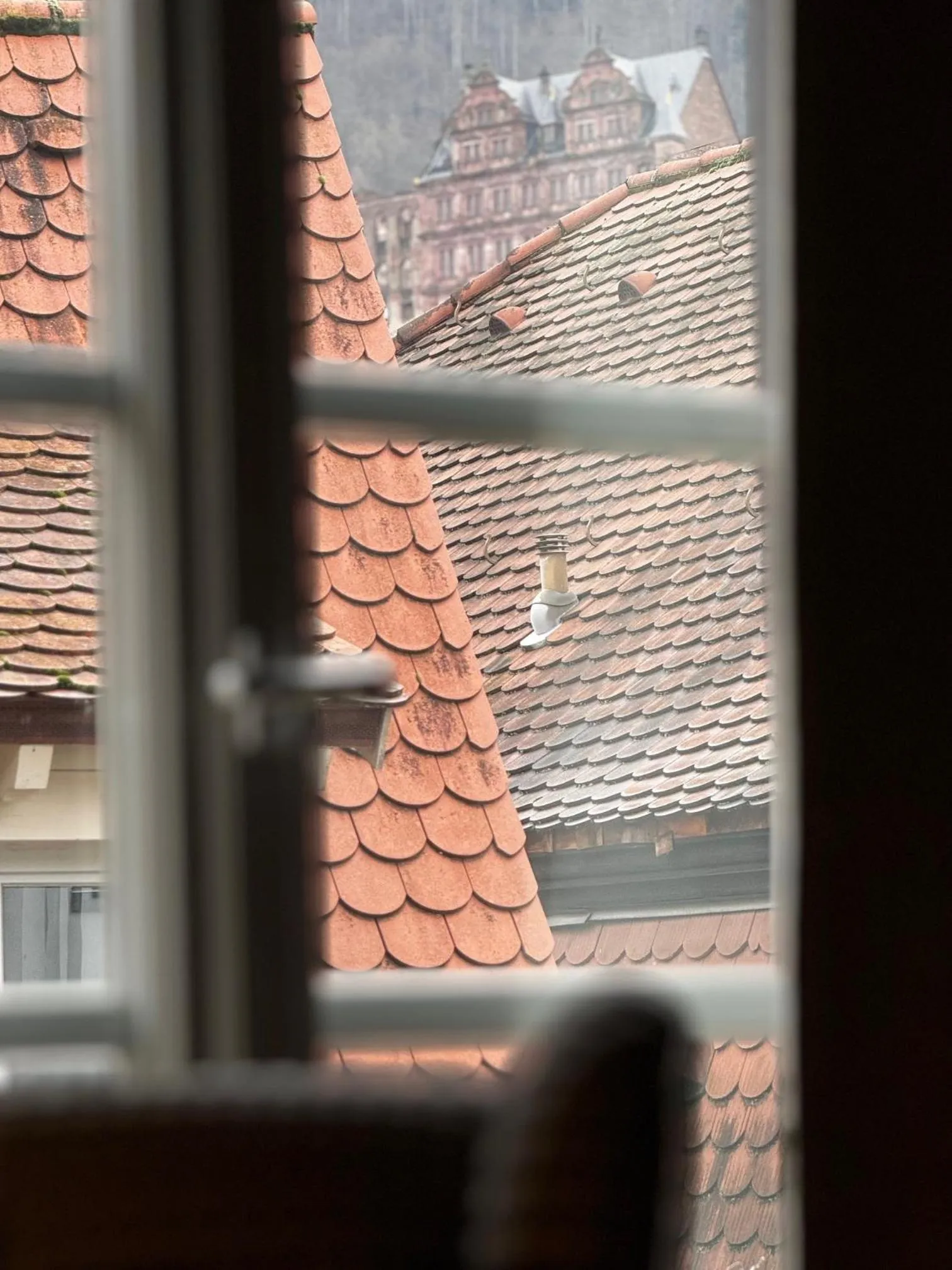 View (from property/room) in Hotel Zur Alten Brücke