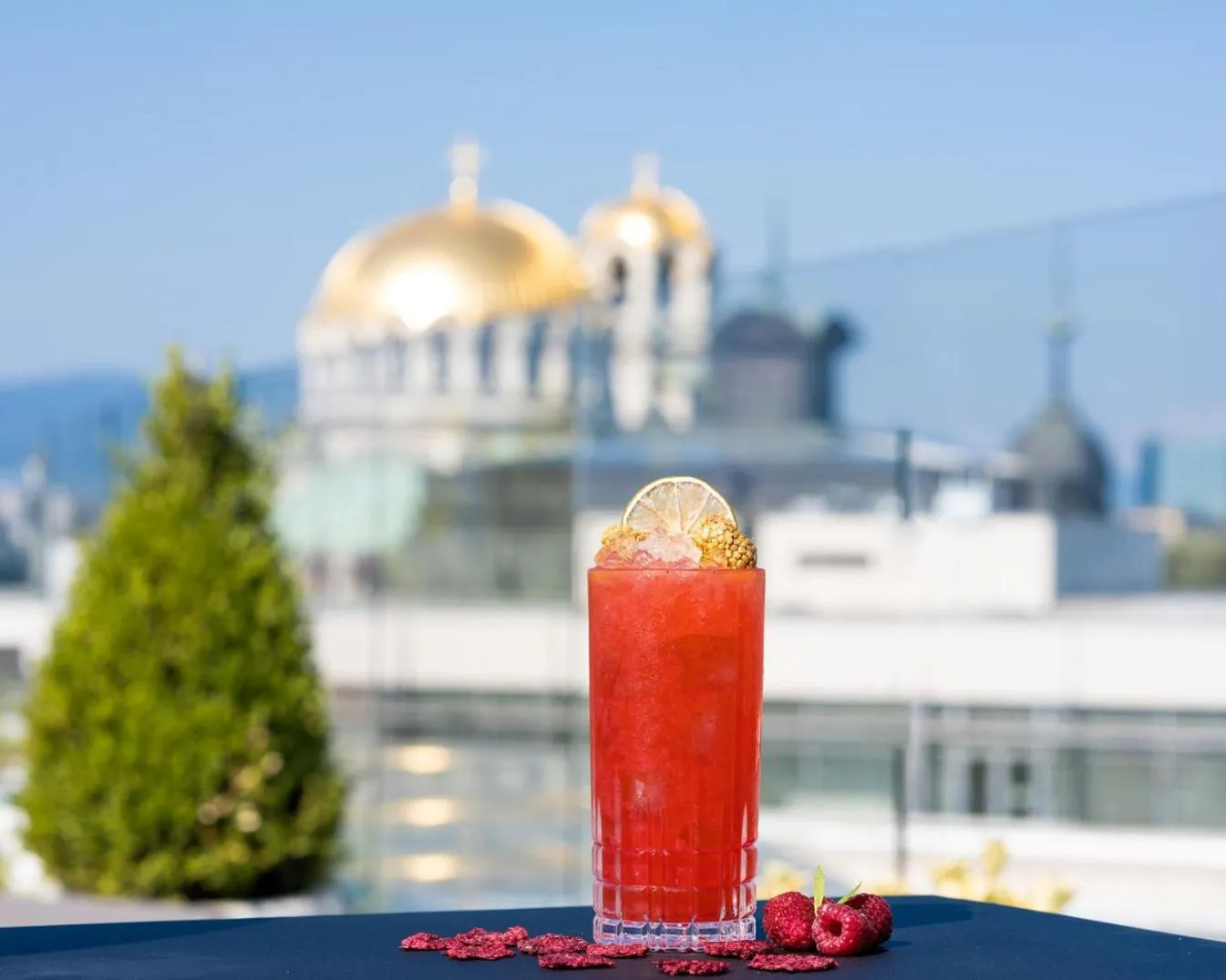 View (from property/room) in Hyatt Regency Sofia