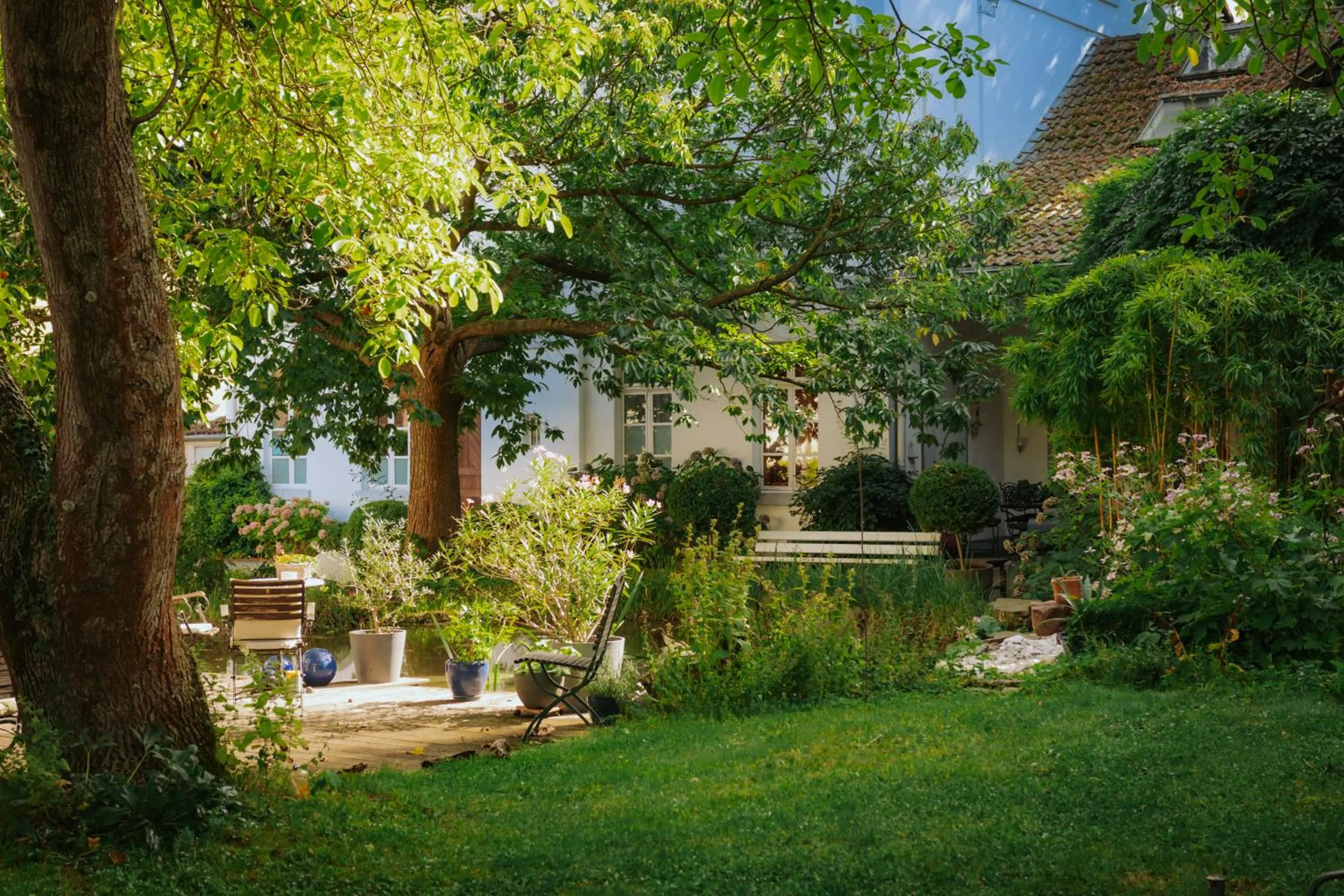 Garden in Hotel ZweiLinden Meckenheim Bonn