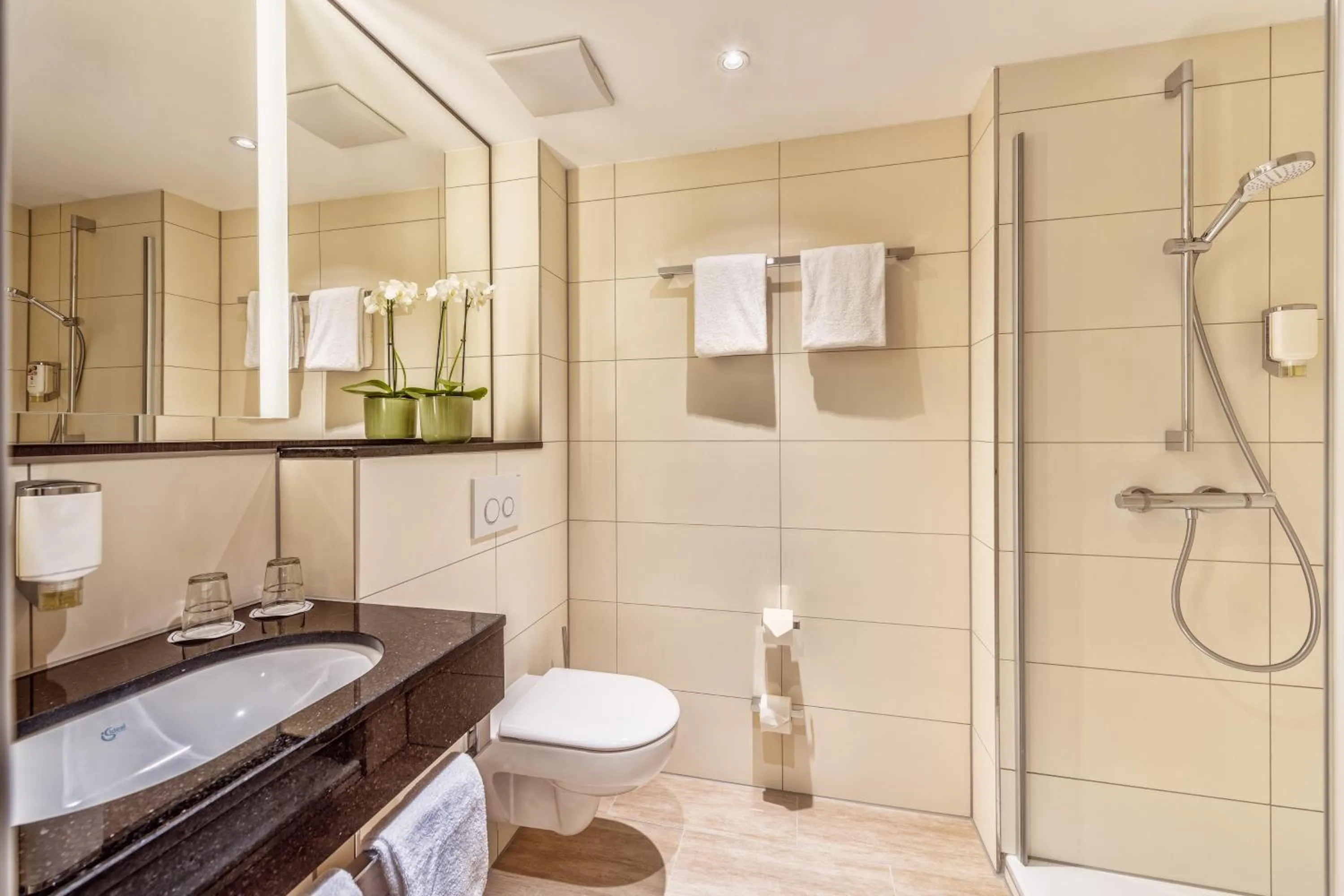 Shower in CityClass Hotel Alter Markt