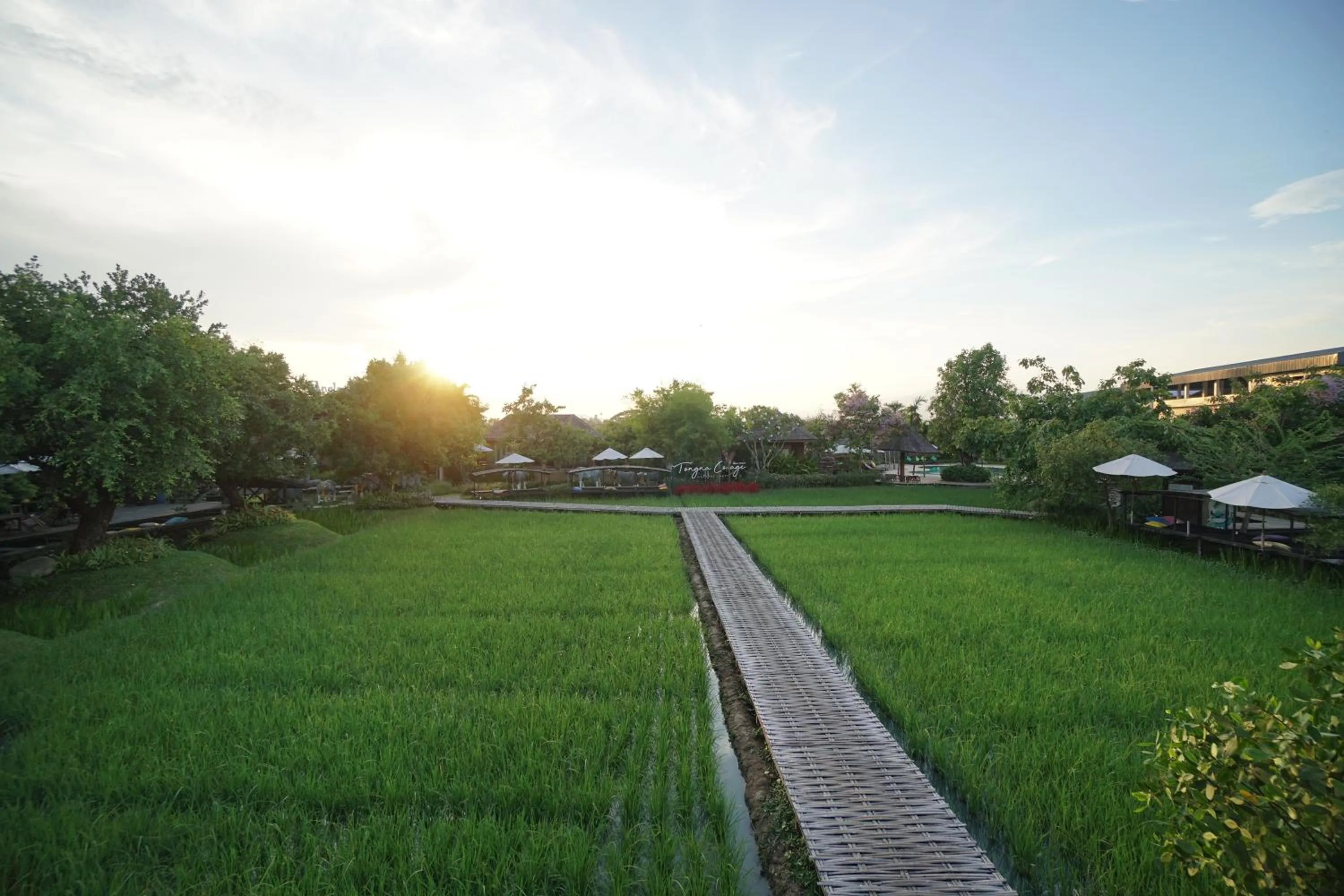 Restaurant/places to eat in Tongna Cottage Natural Resort