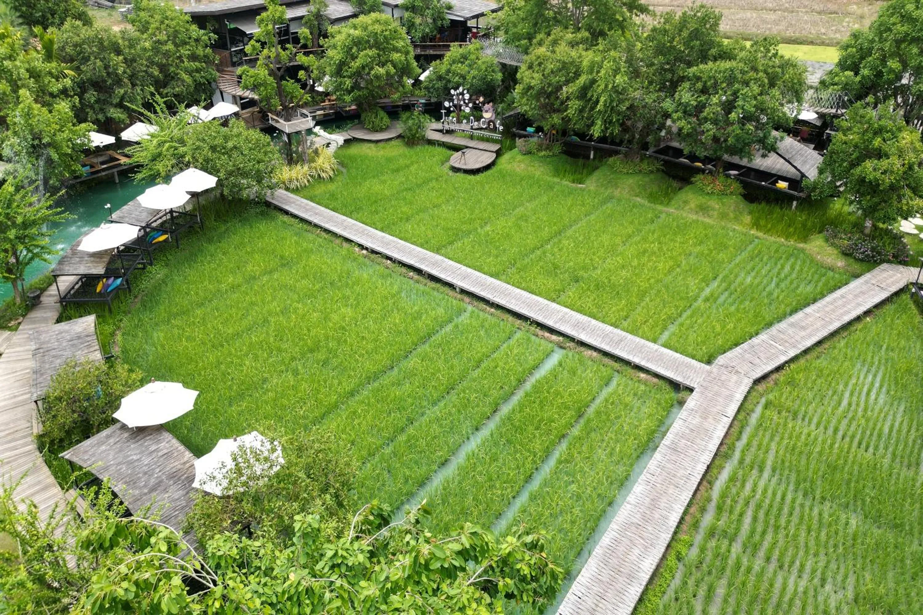 Restaurant/places to eat in Tongna Cottage Natural Resort