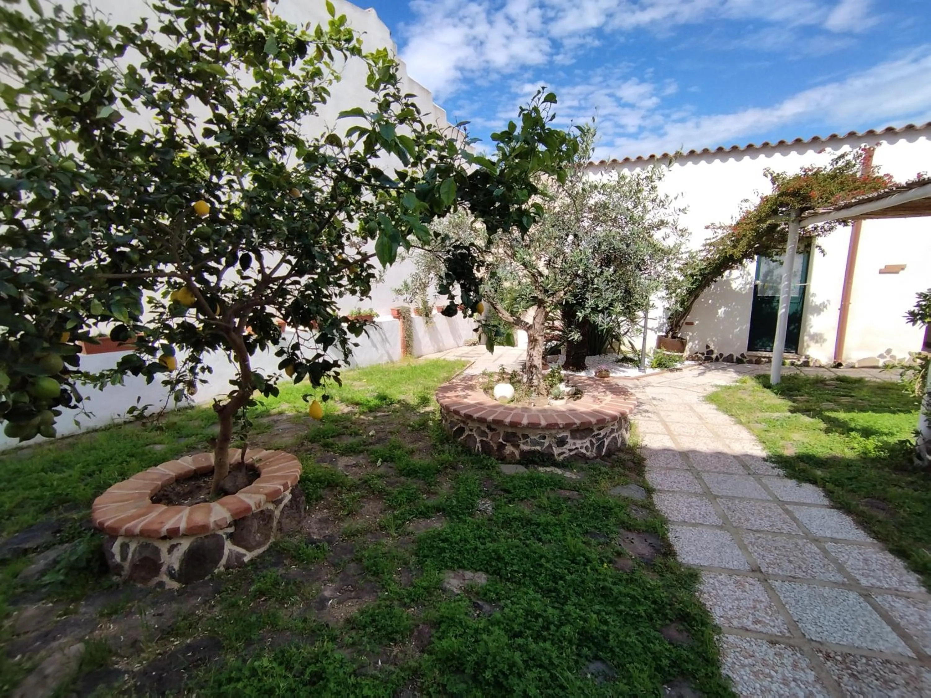 Garden in Bed And Breakfast Villa Bianca