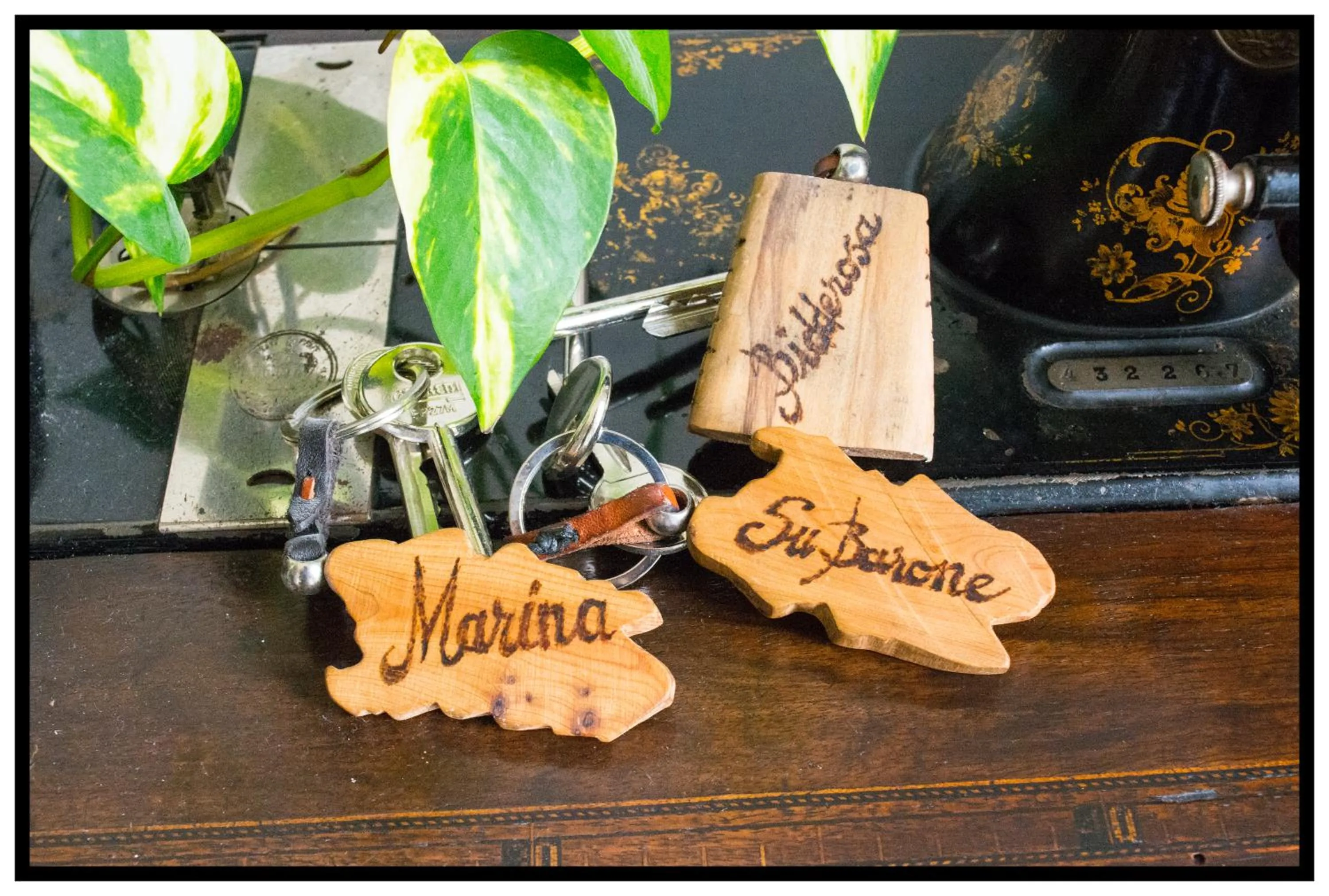 Property logo or sign in Bed And Breakfast Villa Bianca