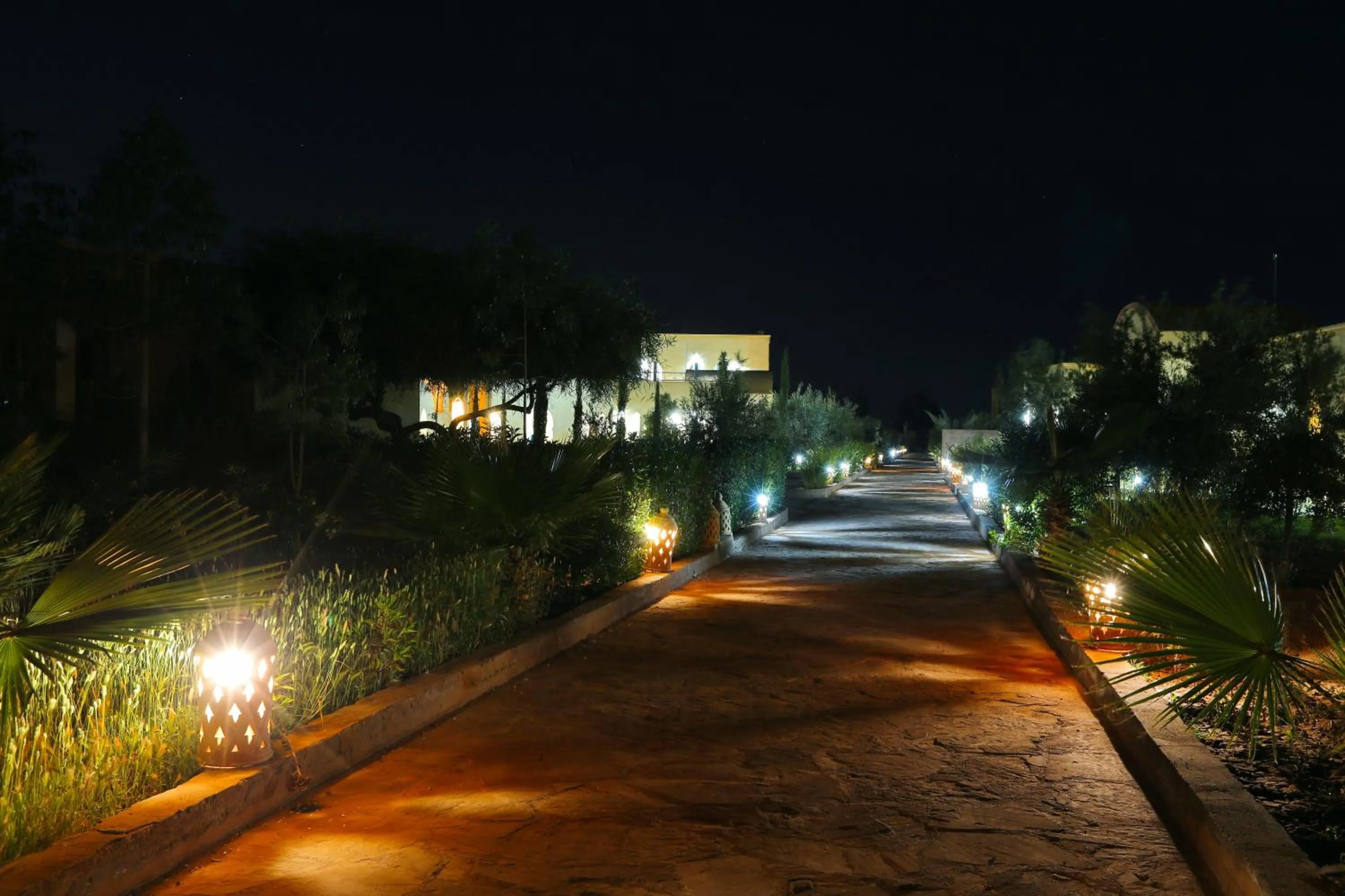 Night in Atlas Widan