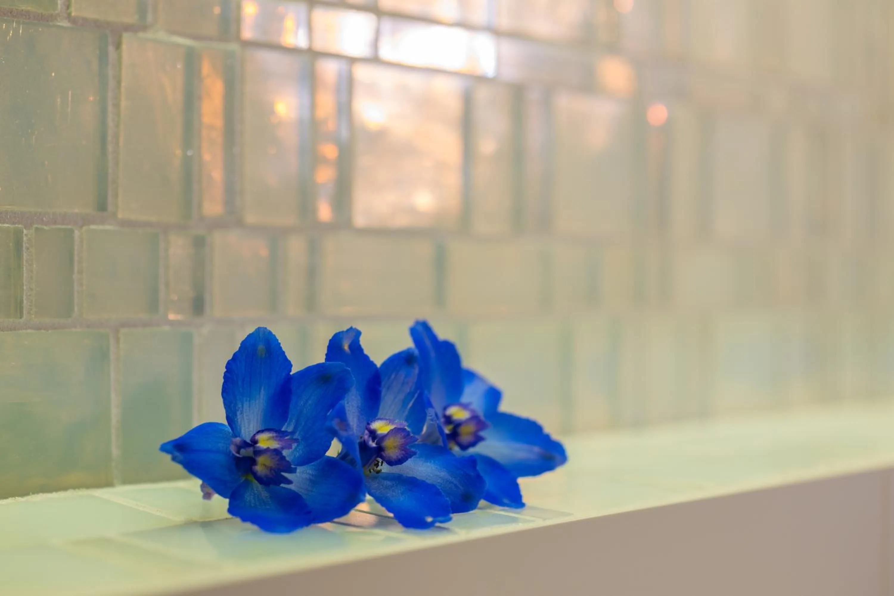 Other in ROEWERS Privathotel & Spa