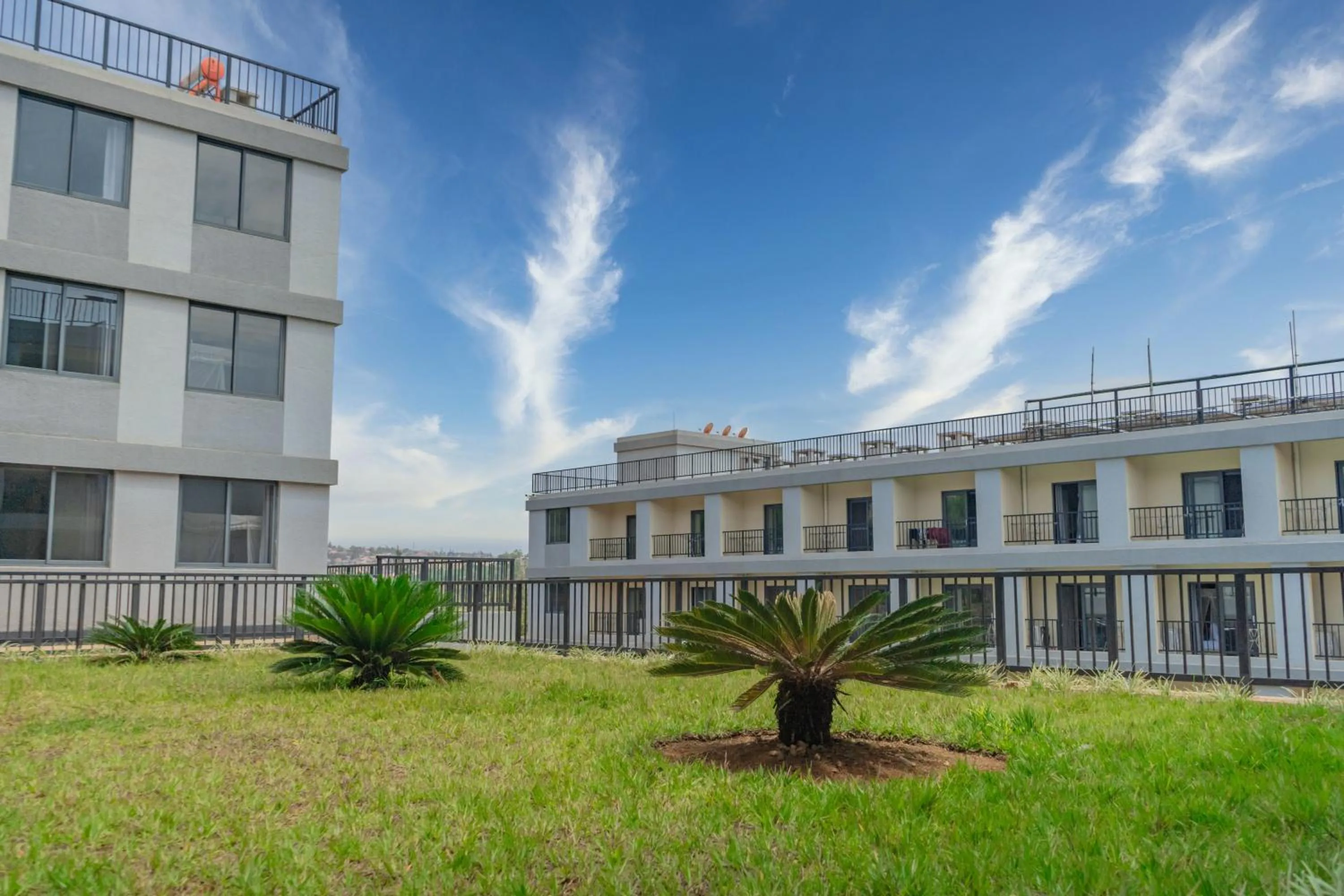 Property building in Phoenix Apartment by LINK