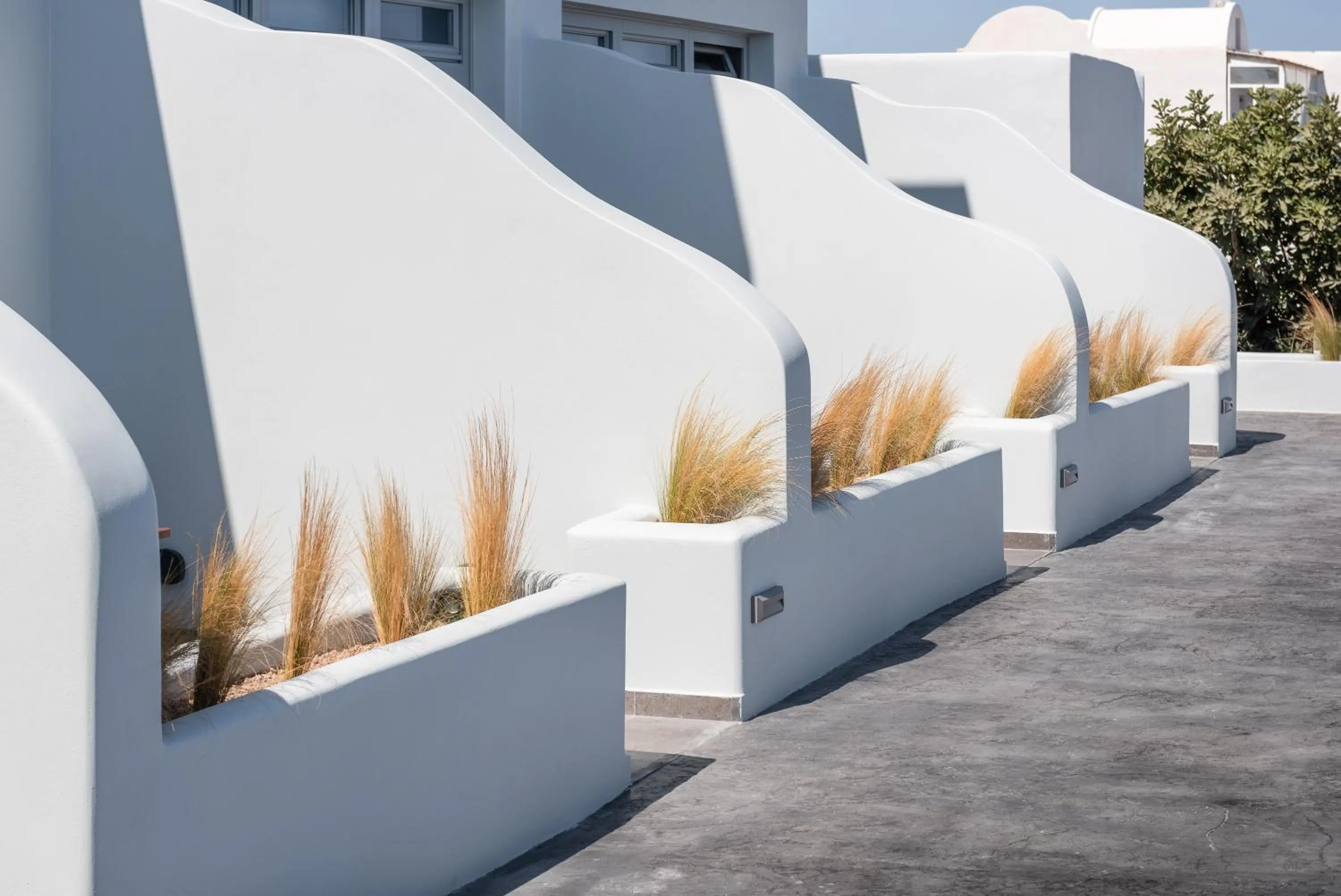 Decorative detail in Volcanic Arc Suites