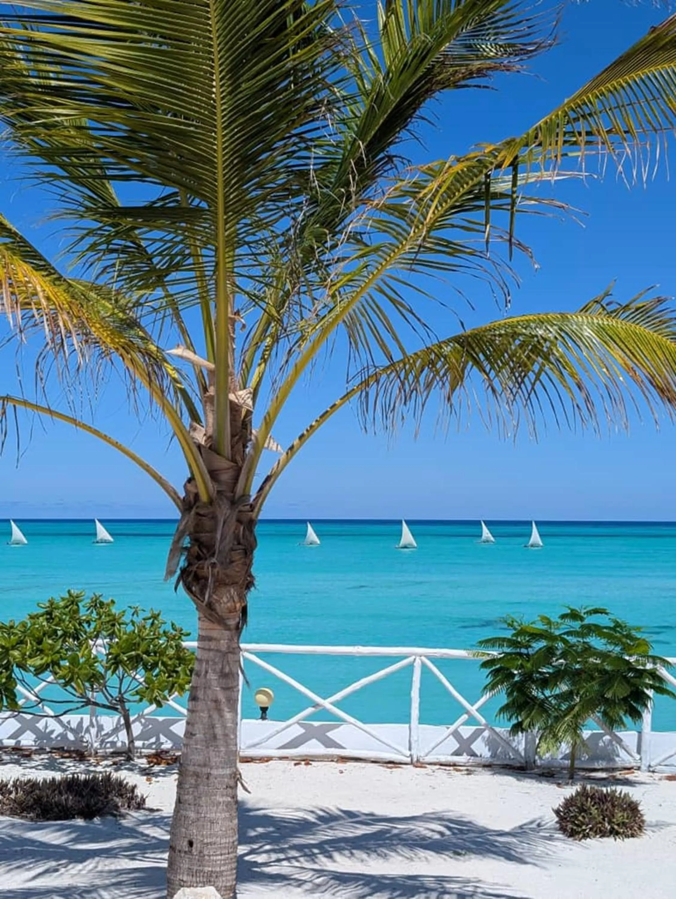 Natural landscape in Aquamarina Hotel