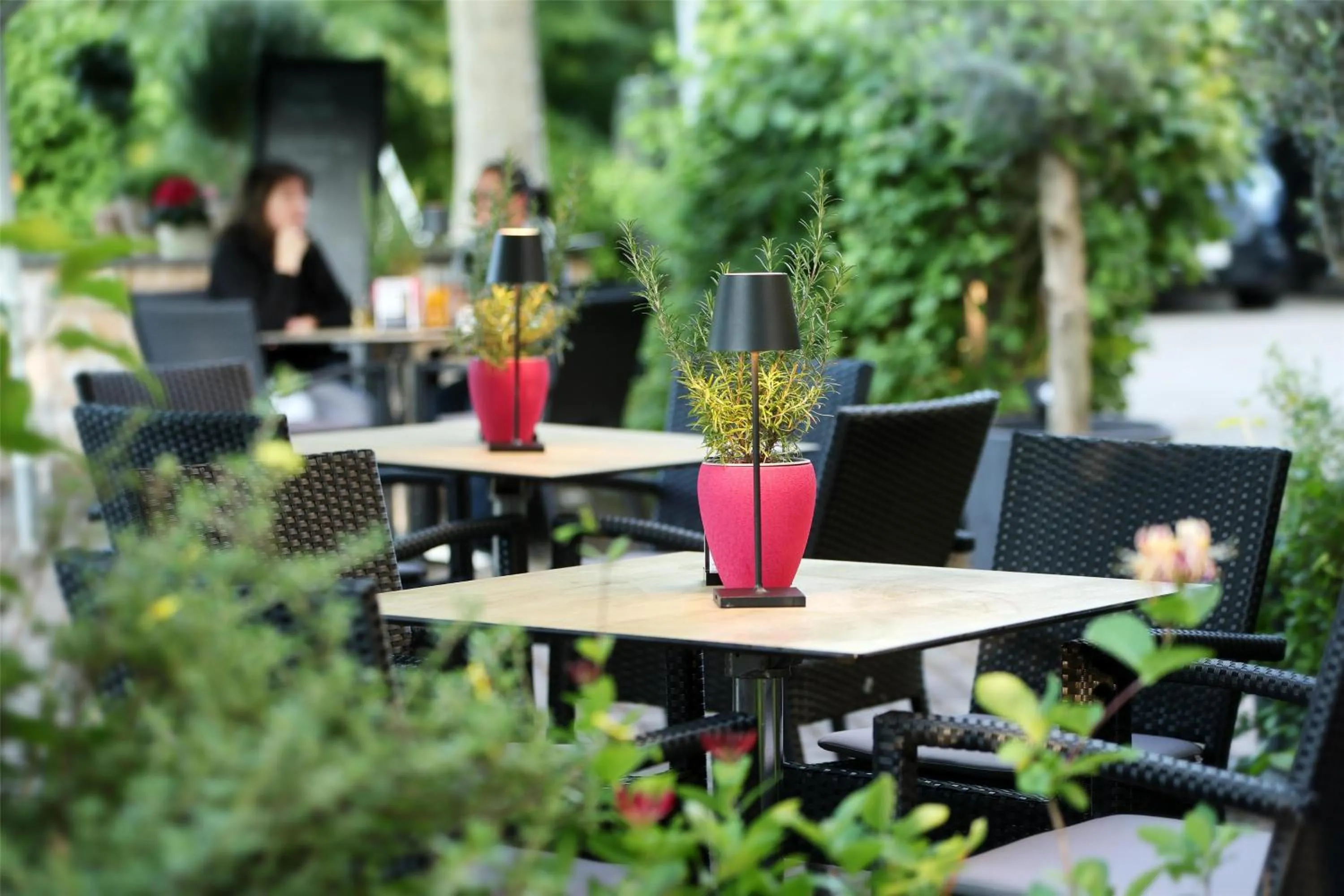 Food and drinks in Best Western Hotel Windorf