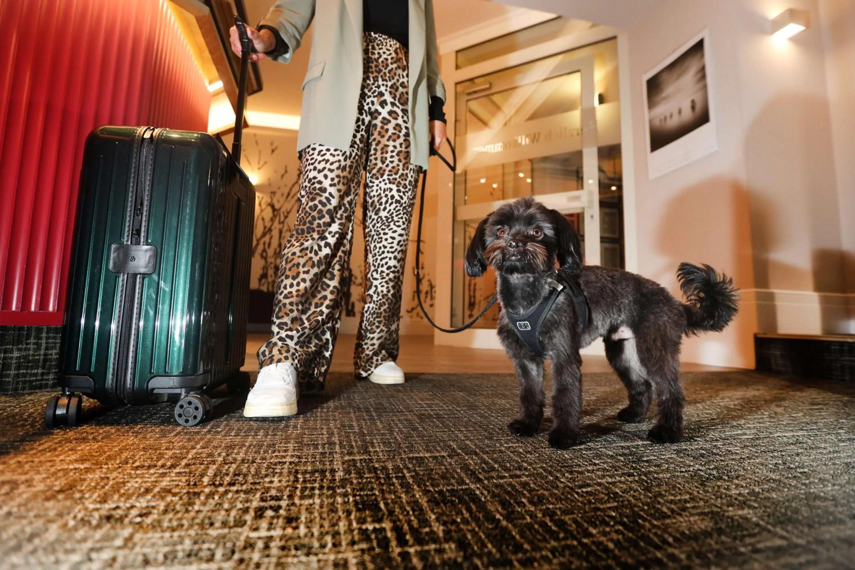 Lobby or reception in Best Western Hotel Windorf