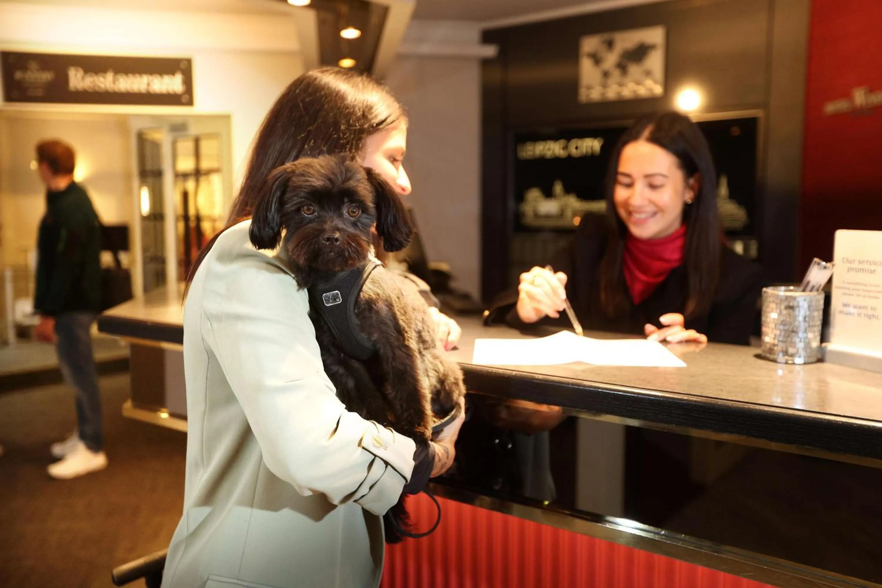 Lobby or reception in Best Western Hotel Windorf