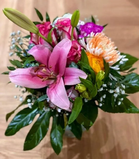 Other in Alexander am Zoo